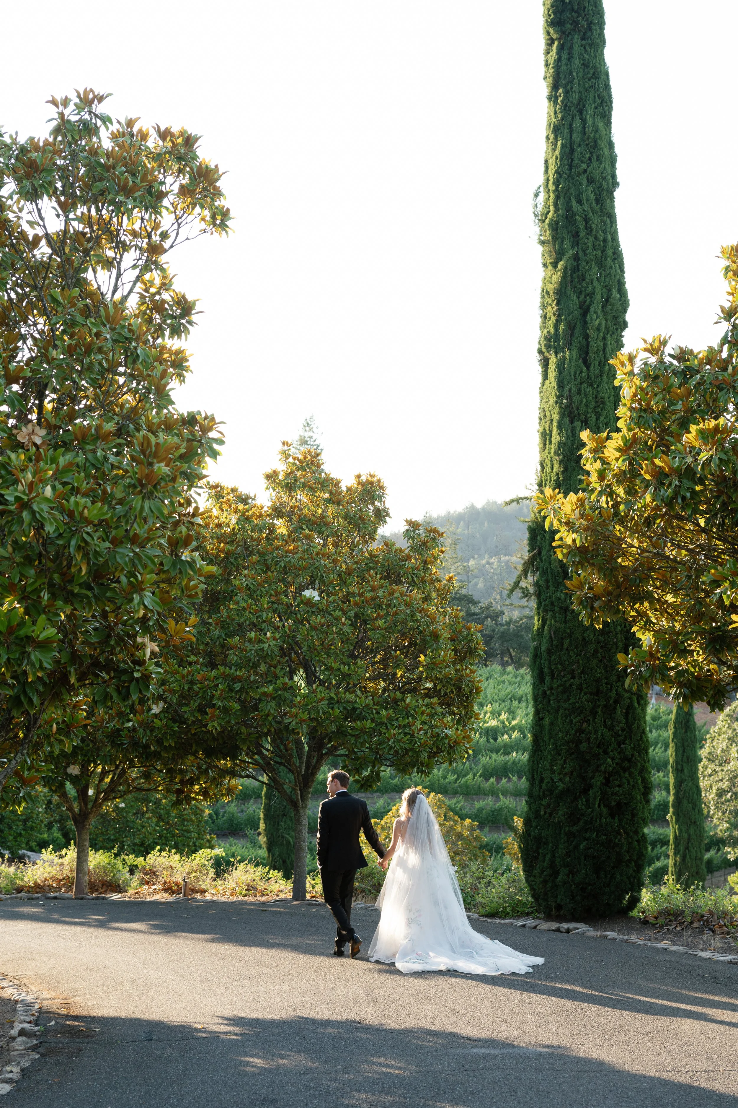 French Inspired Garden Wedding — Napa