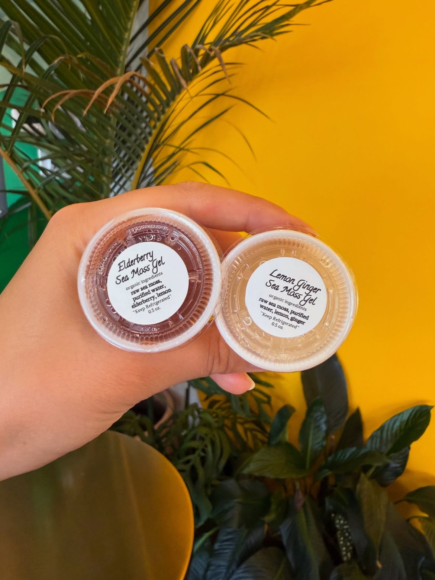 Your body needs 102 minerals to function&hellip; Sea moss naturally contains 92 of them 🌊

Sea moss is one of the most mineral-dense foods on the planet, naturally packed with iodine, zinc, magnesium, and iron! It supports your thyroid, energy, dige