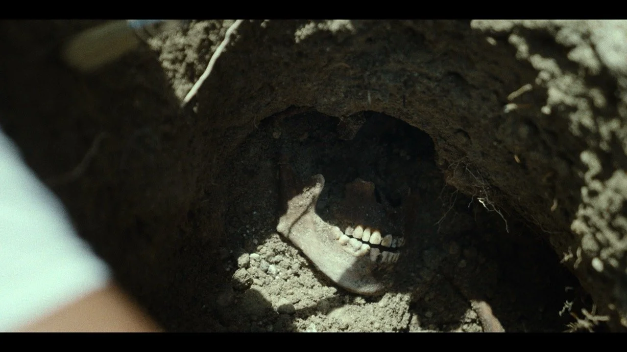 A human skull partially buried in dirt