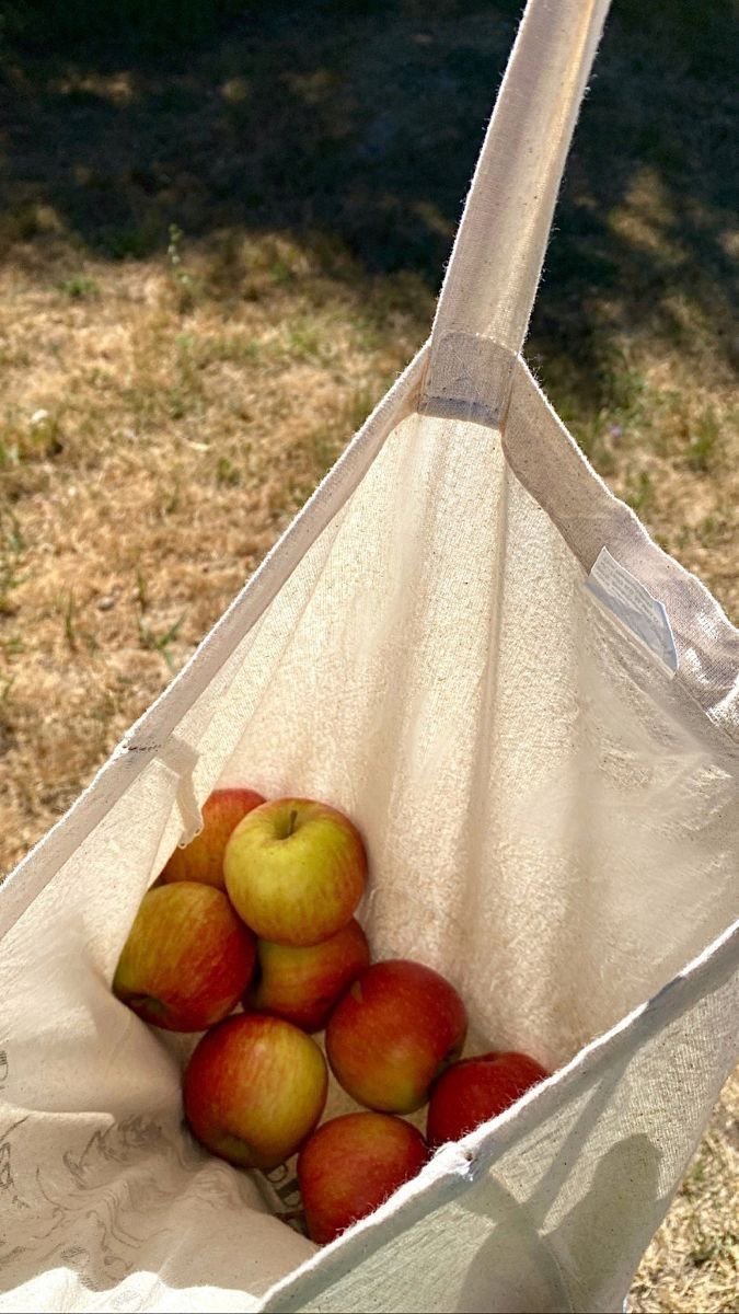 IMG_2116.JPG