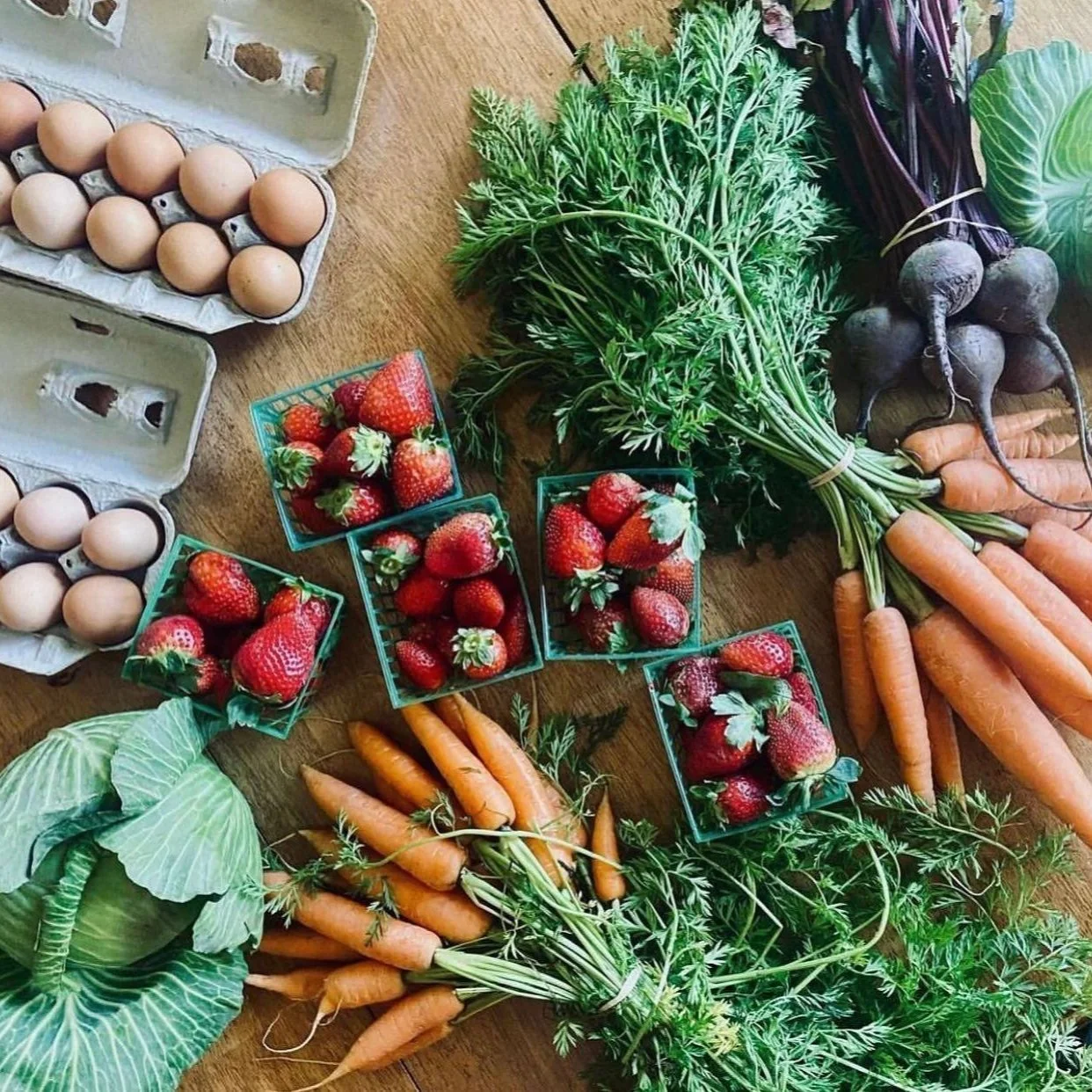 - Tallahassee Farmers Market

Celebrating tradition for more than forty years, Tallahassee Farmers Market proudly upholds its legacy as one of Florida's most established markets. With a vibrant community of over 25 vendors showcasing a wide range of 