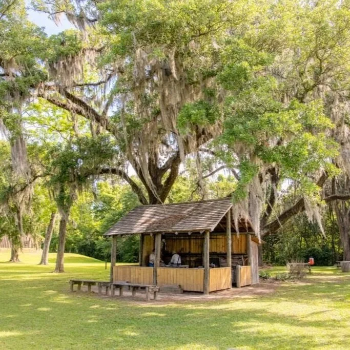 Mission San Luis

Archaeological Site Tours: First Wednesdays of the month, 11:00 AM–12:30 PM, included with site admission

Pine-Needle Basket Making: Second Saturdays, 10:00 AM–1:00 PM, in person. Members $24 / Non-members $30. Call 850-245-6406 to
