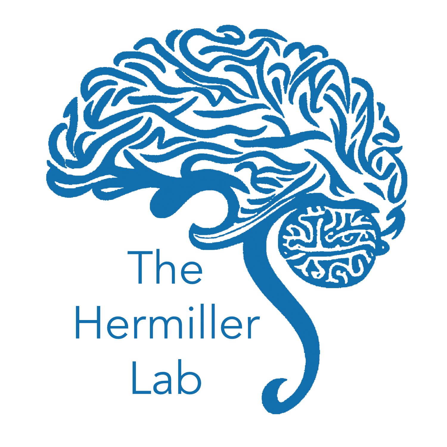 Hermiller Lab