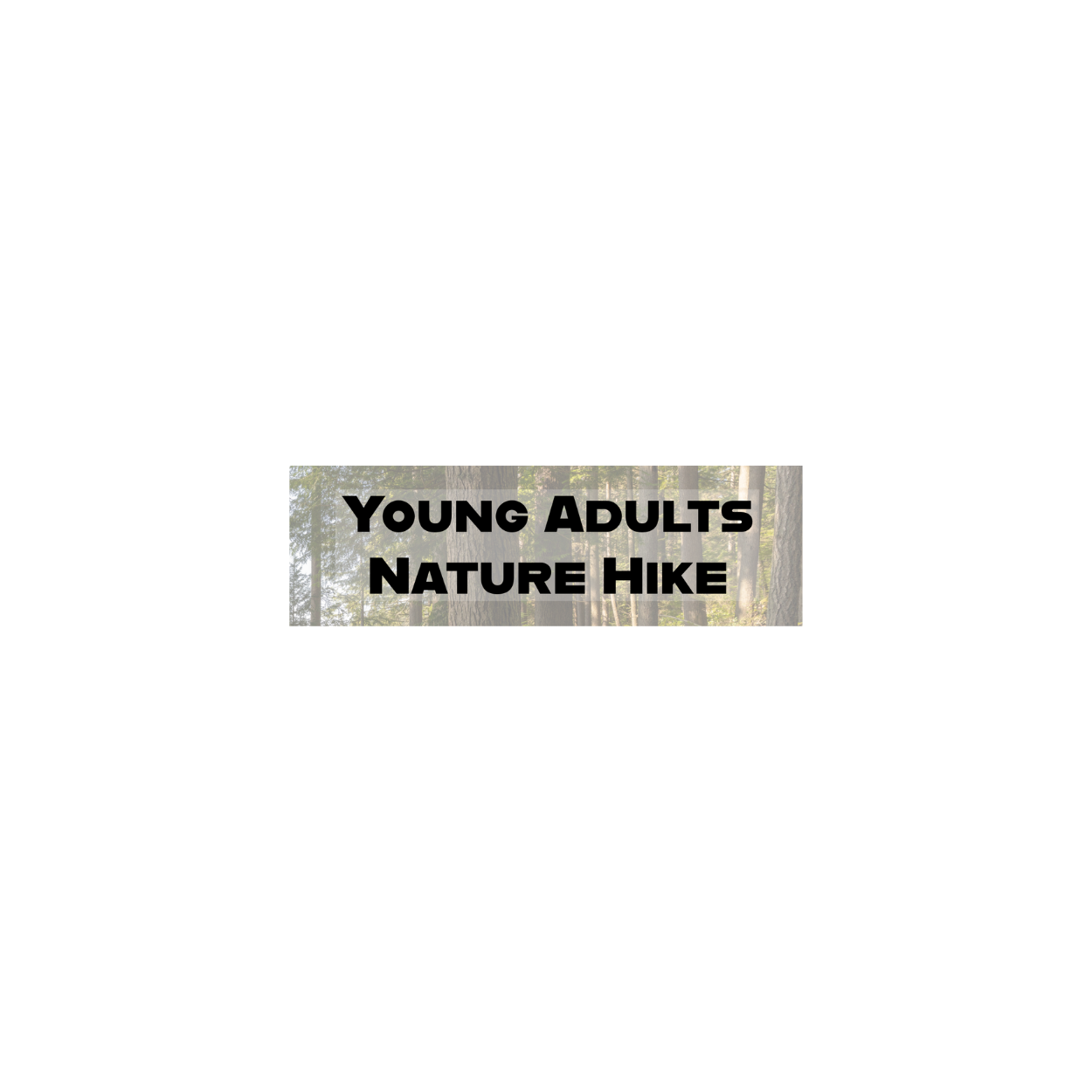 Young Adults Hiking Event