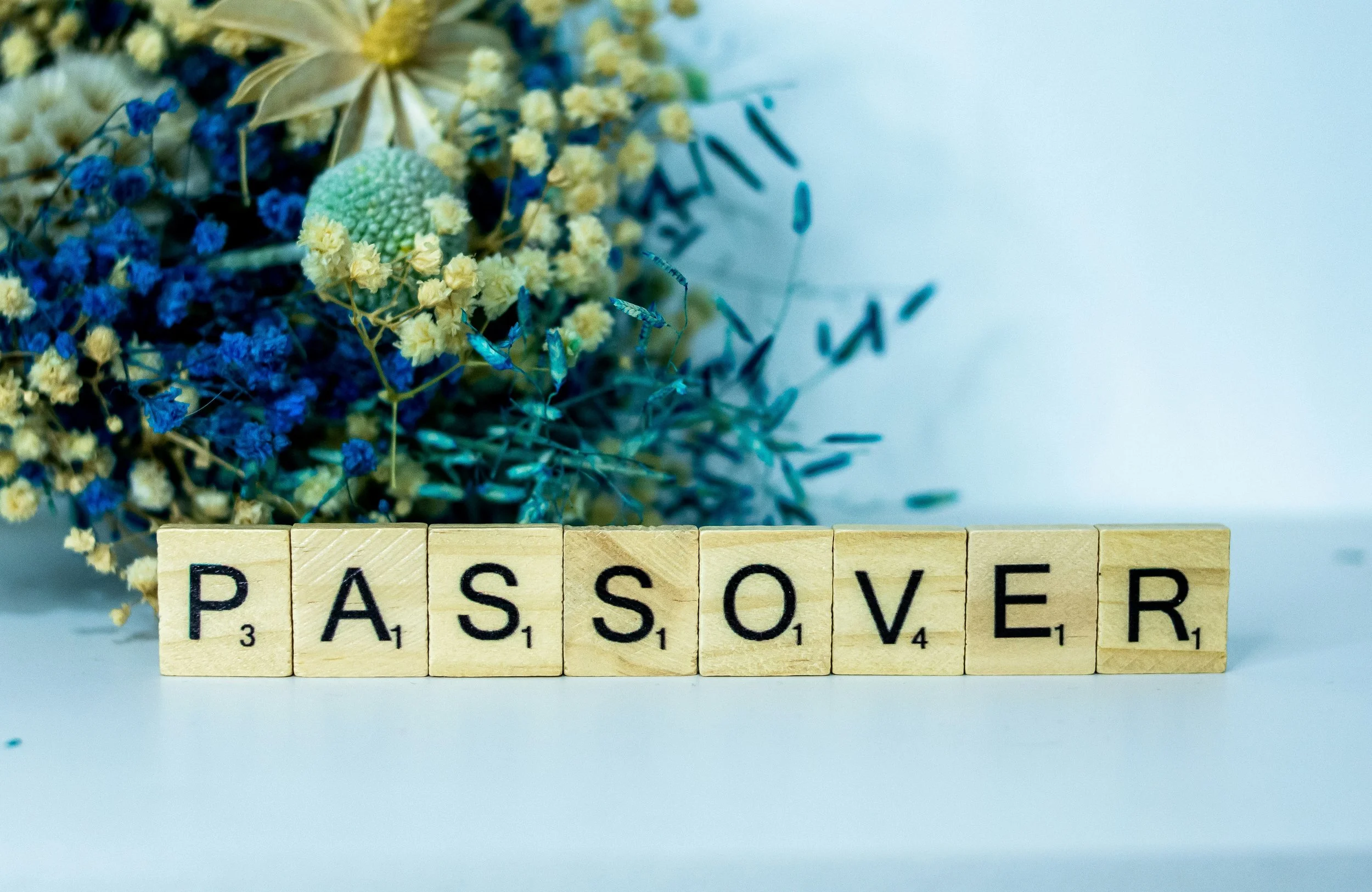 Christ in the Passover