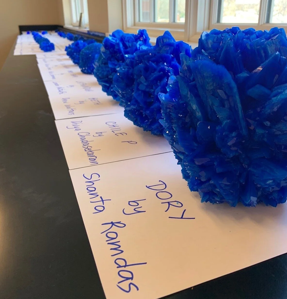 Blue Day: A Celebration For All!