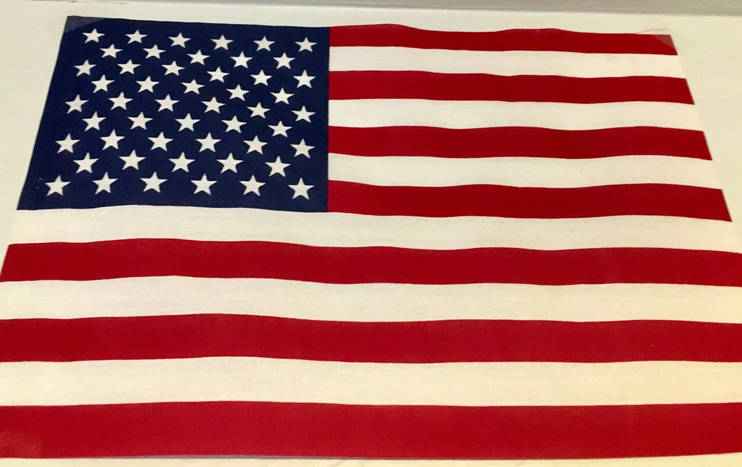 Campus Questions 101 and 108 Pass with Sweeping Majority!