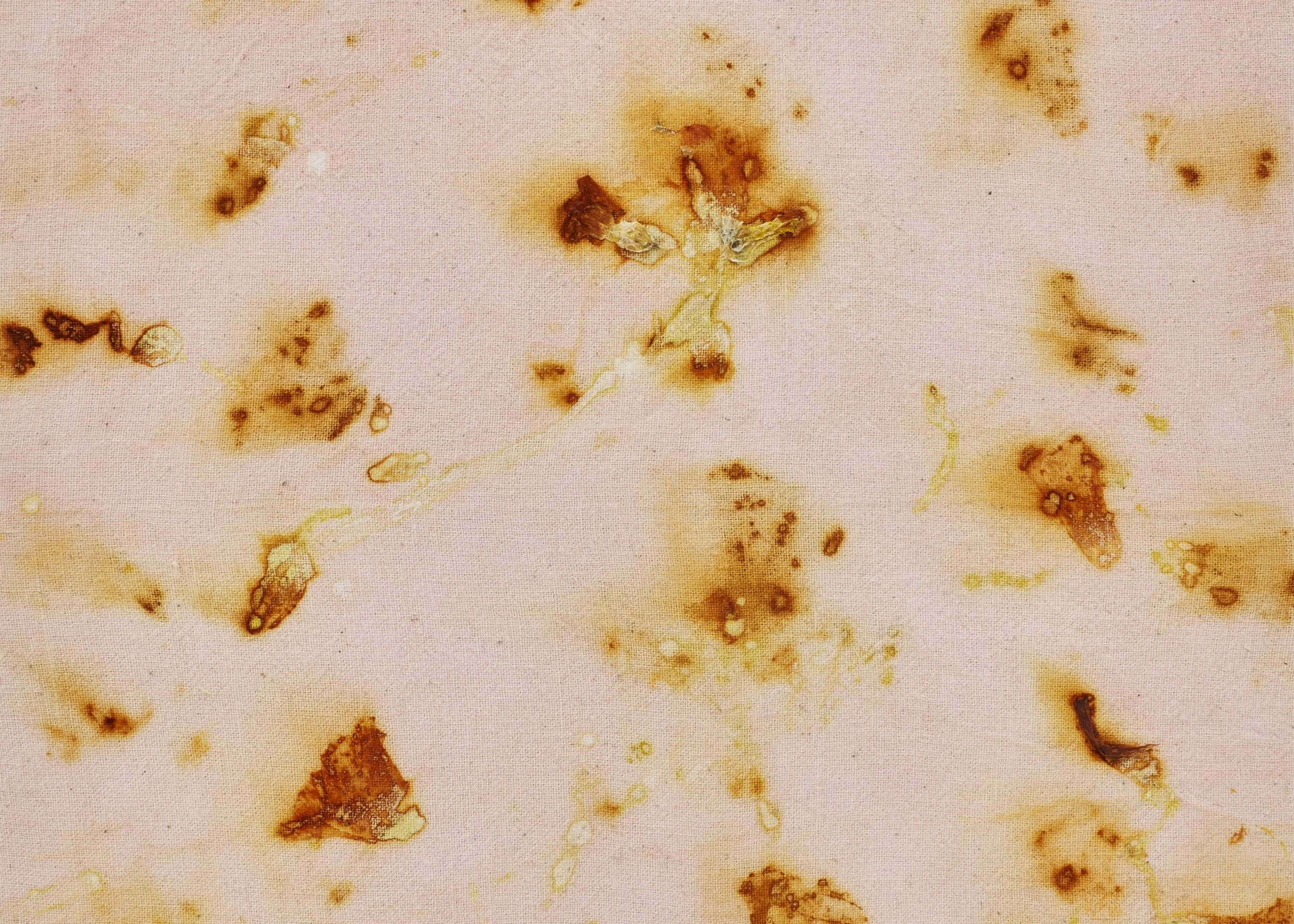 326_Villa Arson_26sept24_300dpi┬® Jean-Christophe Lett.jpg