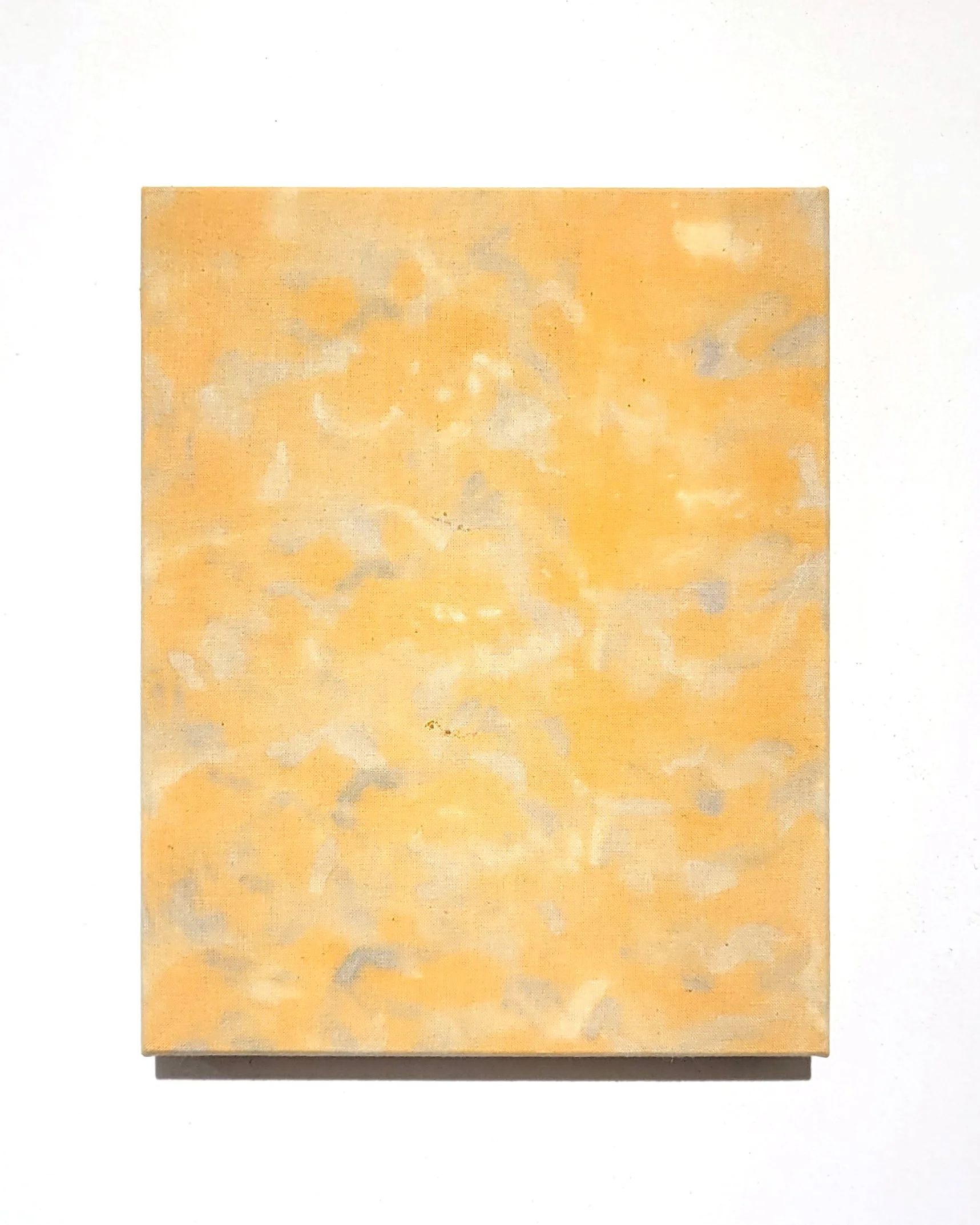 Cosmos / Cosmos, Avril 2025, Pétales de cosmos sur toile, 
Teinture en bain et teinture en bouquet, 
24 x 19 cm