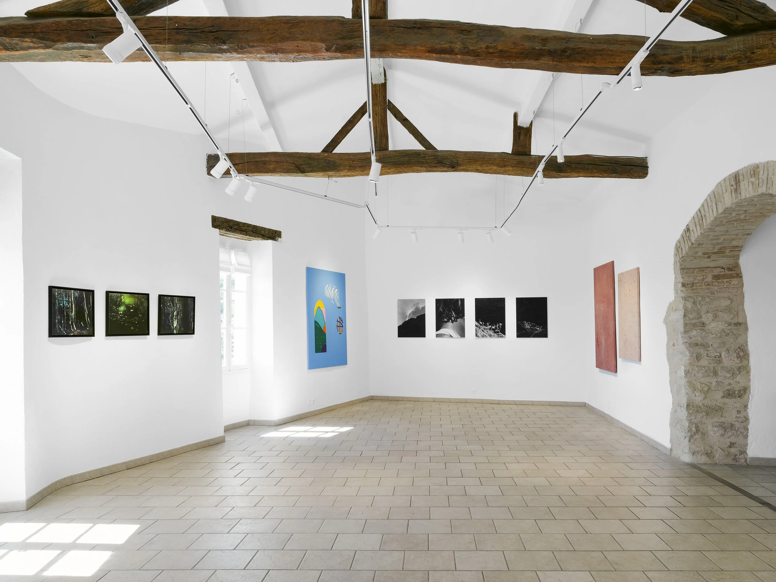 Oxalis / Garance 2 et Oxalis / Garance 1, Landscapes Talk, Galerie 46 St Paul, Saint-Paul-de-Vence - 2025