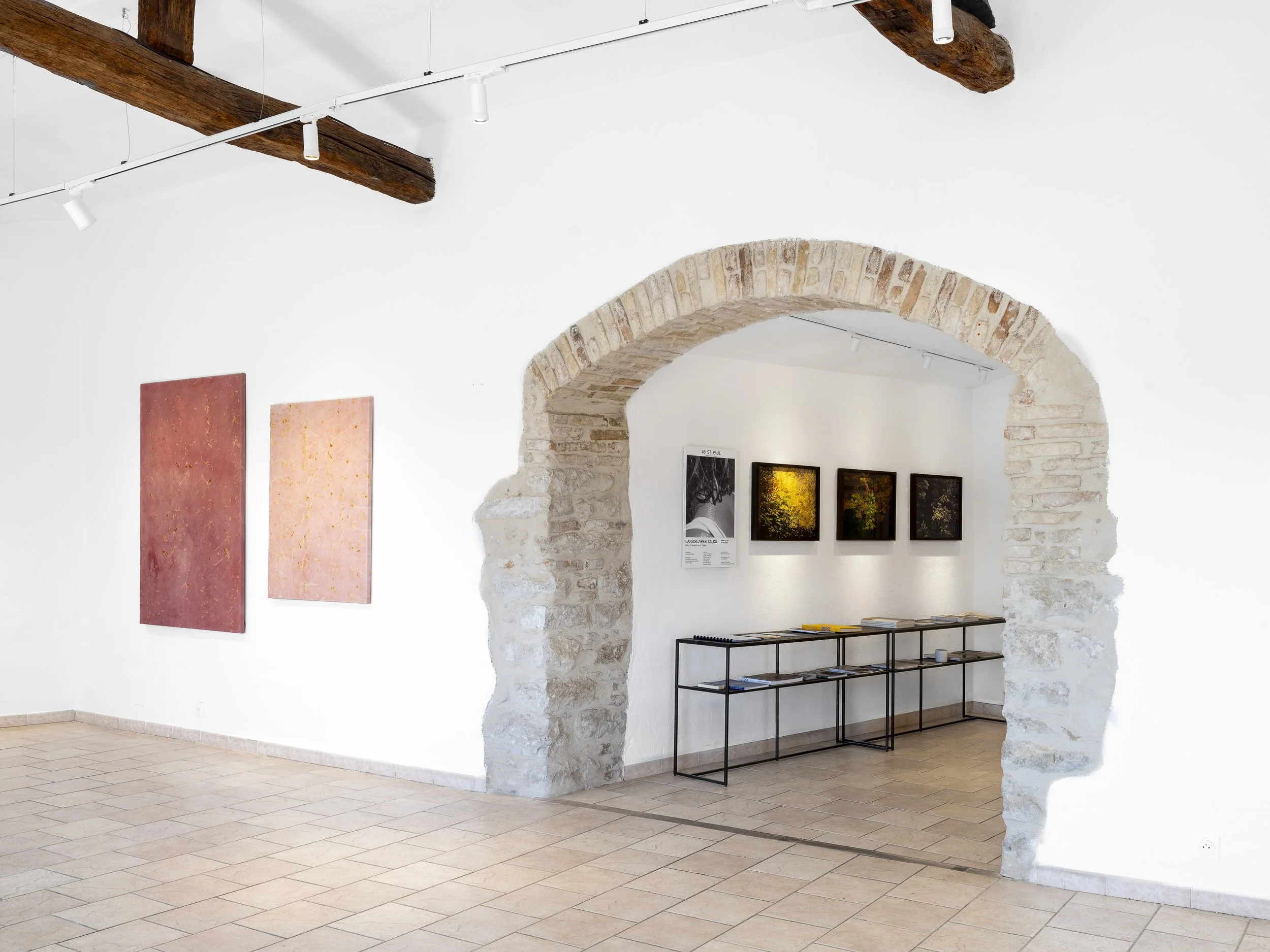 Oxalis / Garance 2 et Oxalis / Garance 1, Landscapes Talk, Galerie 46 St Paul, Saint-Paul-de-Vence - 2025