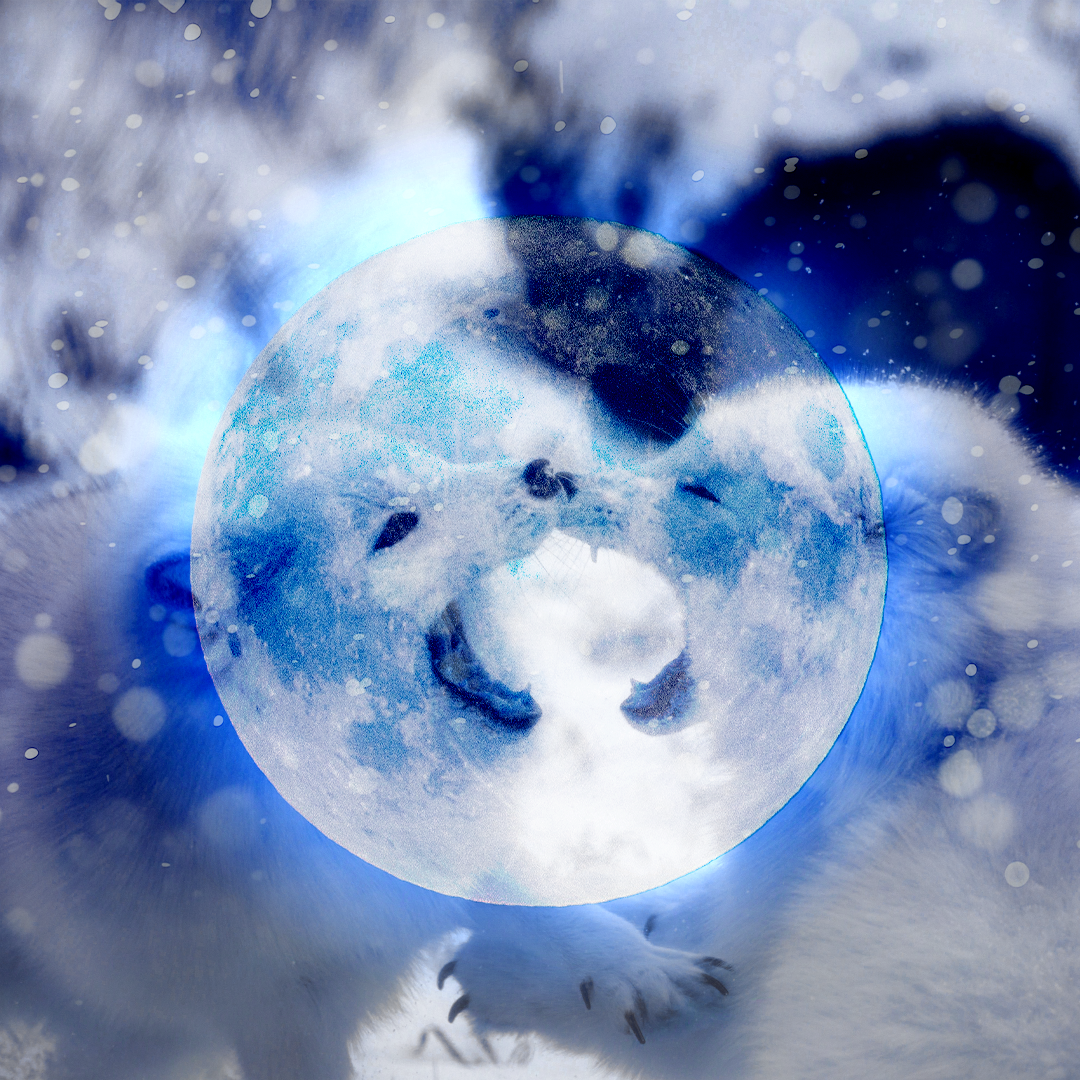COLD MOON 2025 copy.png