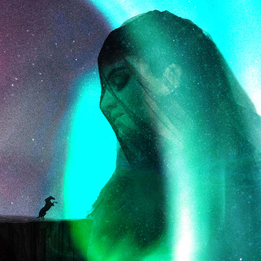 VEILED copy.png