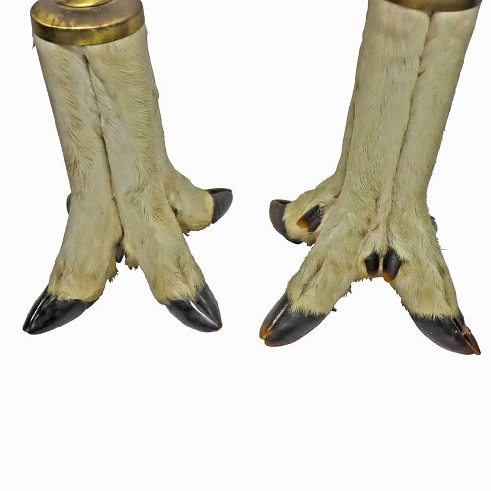 Pair of Taxidermy Hoof Lamps - Aurora Mills