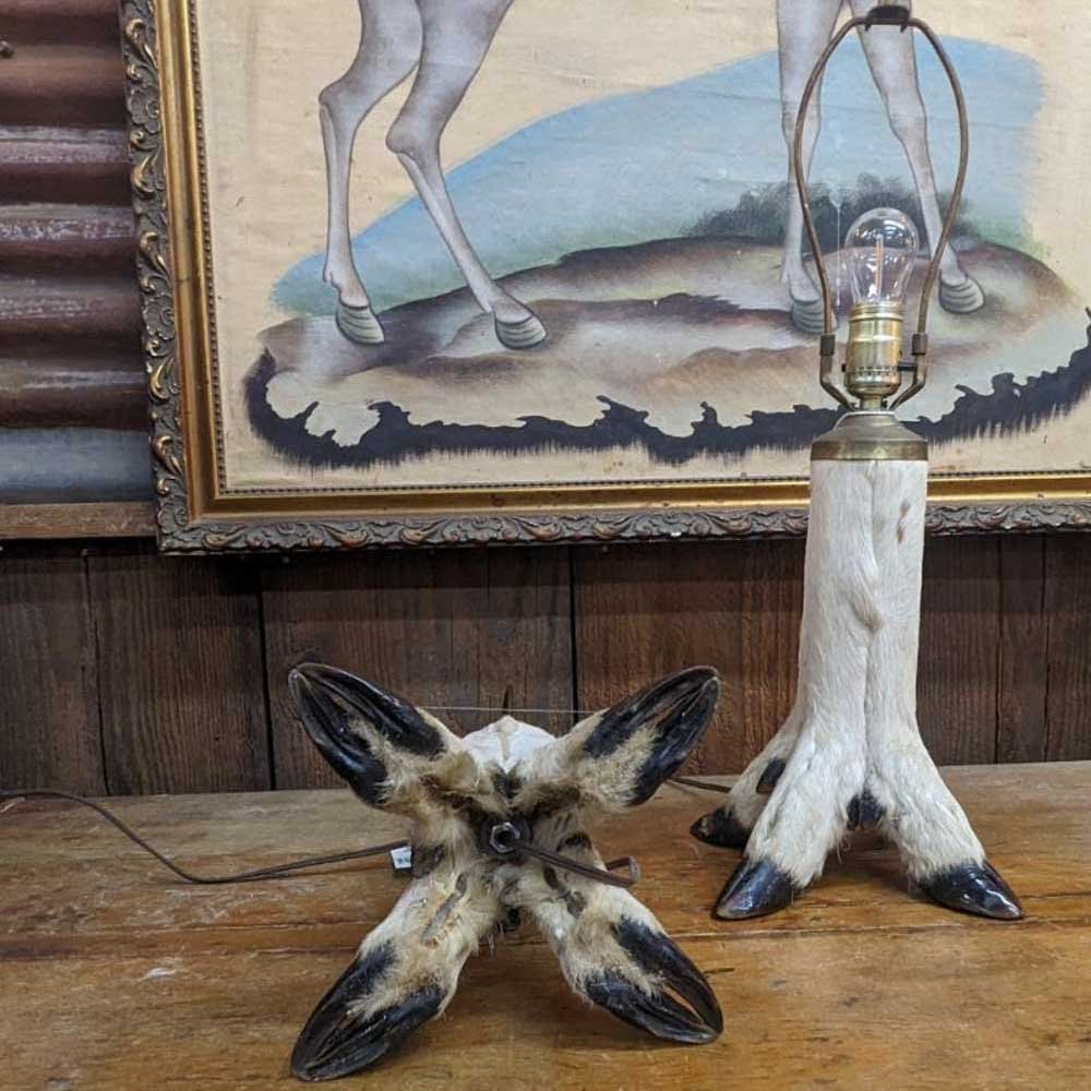 Pair of Taxidermy Hoof Lamps - Aurora Mills