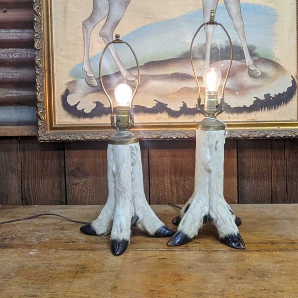 Pair of Taxidermy Hoof Lamps - Aurora Mills