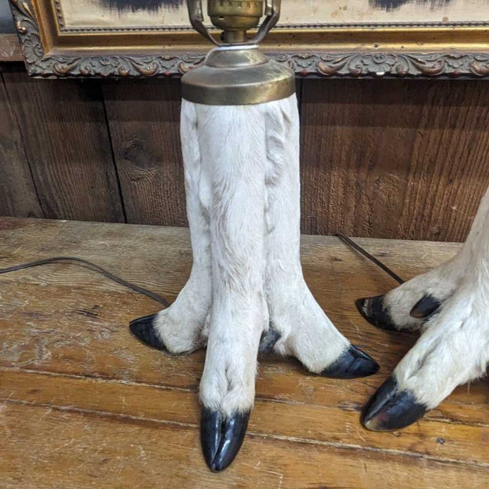 Pair of Taxidermy Hoof Lamps - Aurora Mills