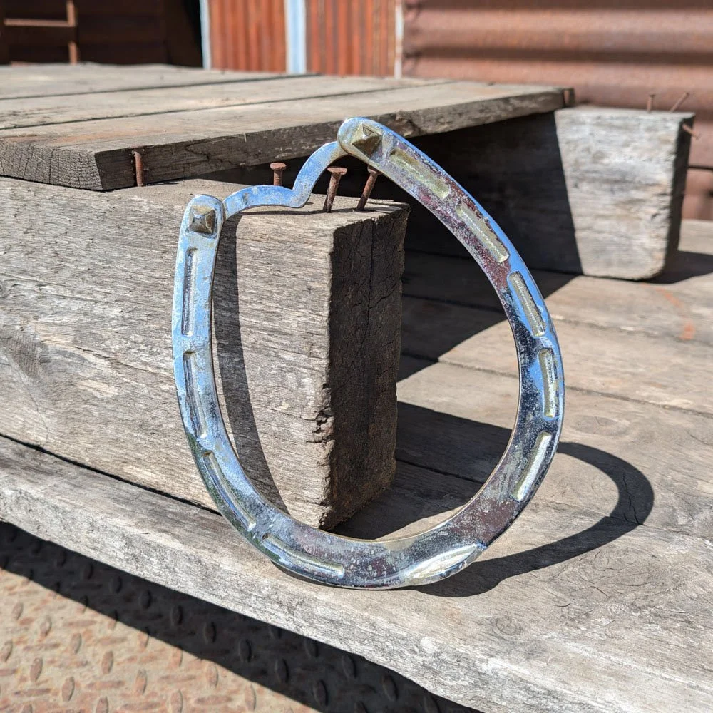 Decorative Chrome Horseshoe