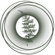 Encircling the Sacred