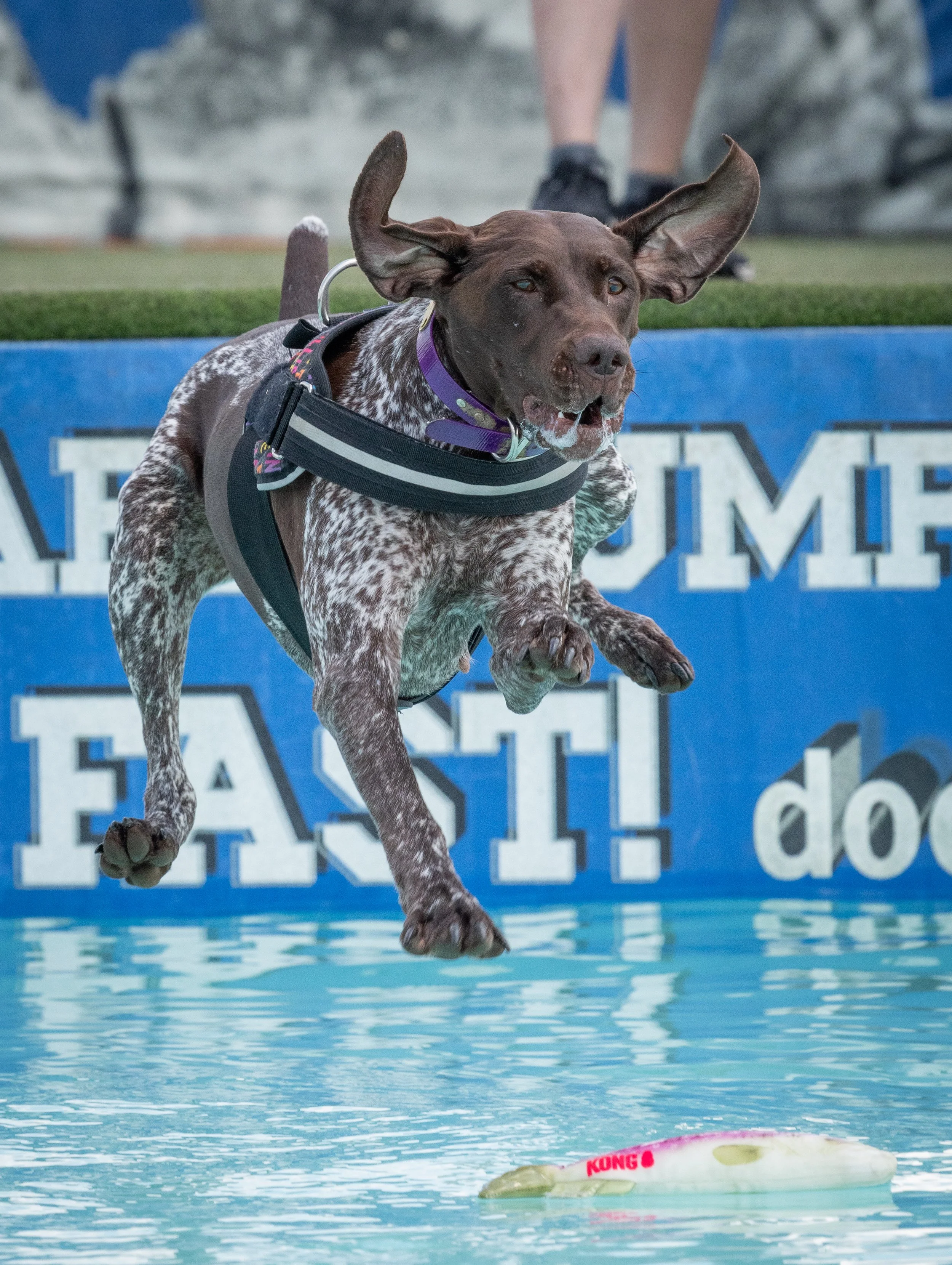 KJ_DD_DD@VG_2026-437593.jpg