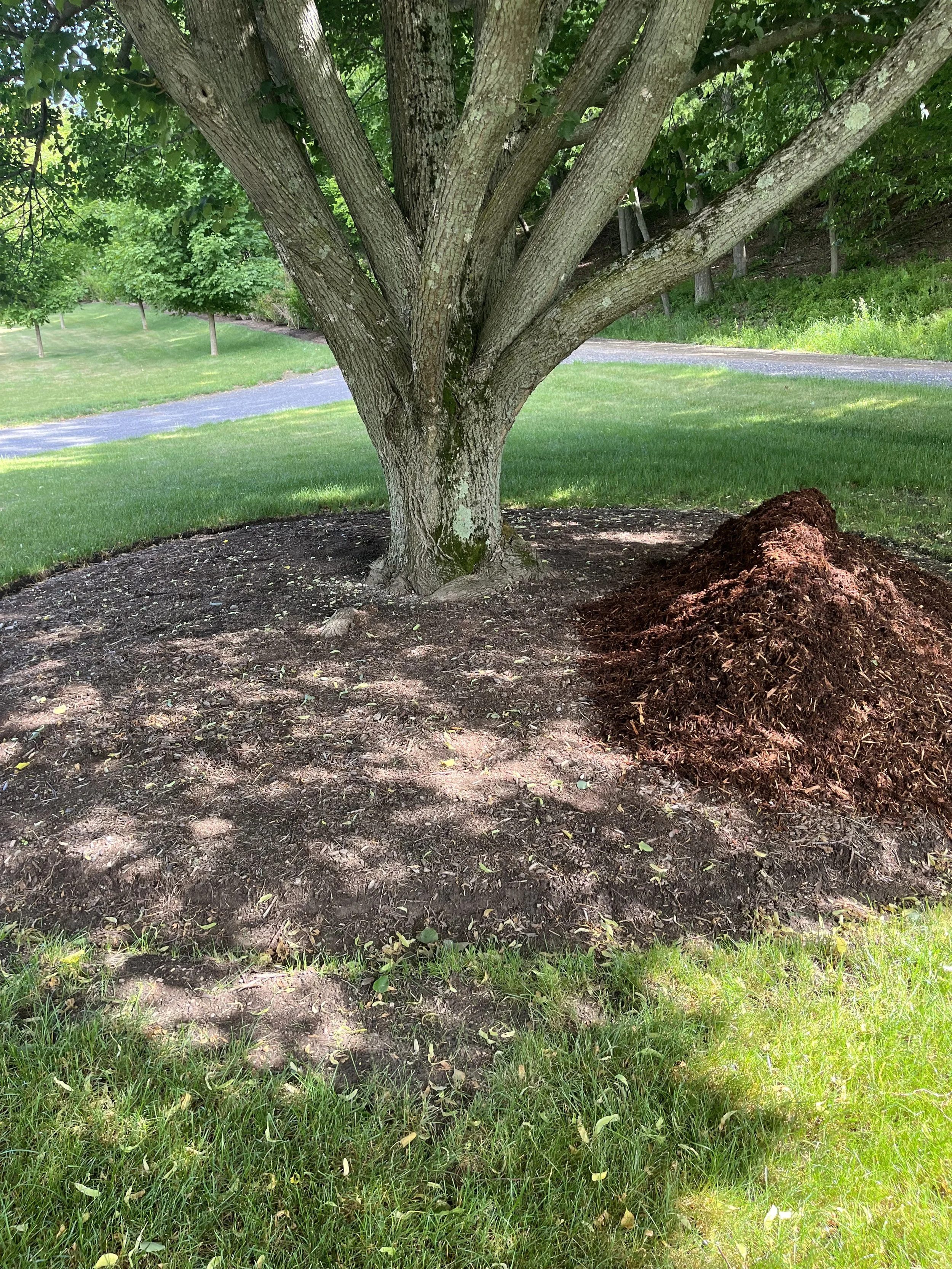 2023-06-19 09.41.58.jpg