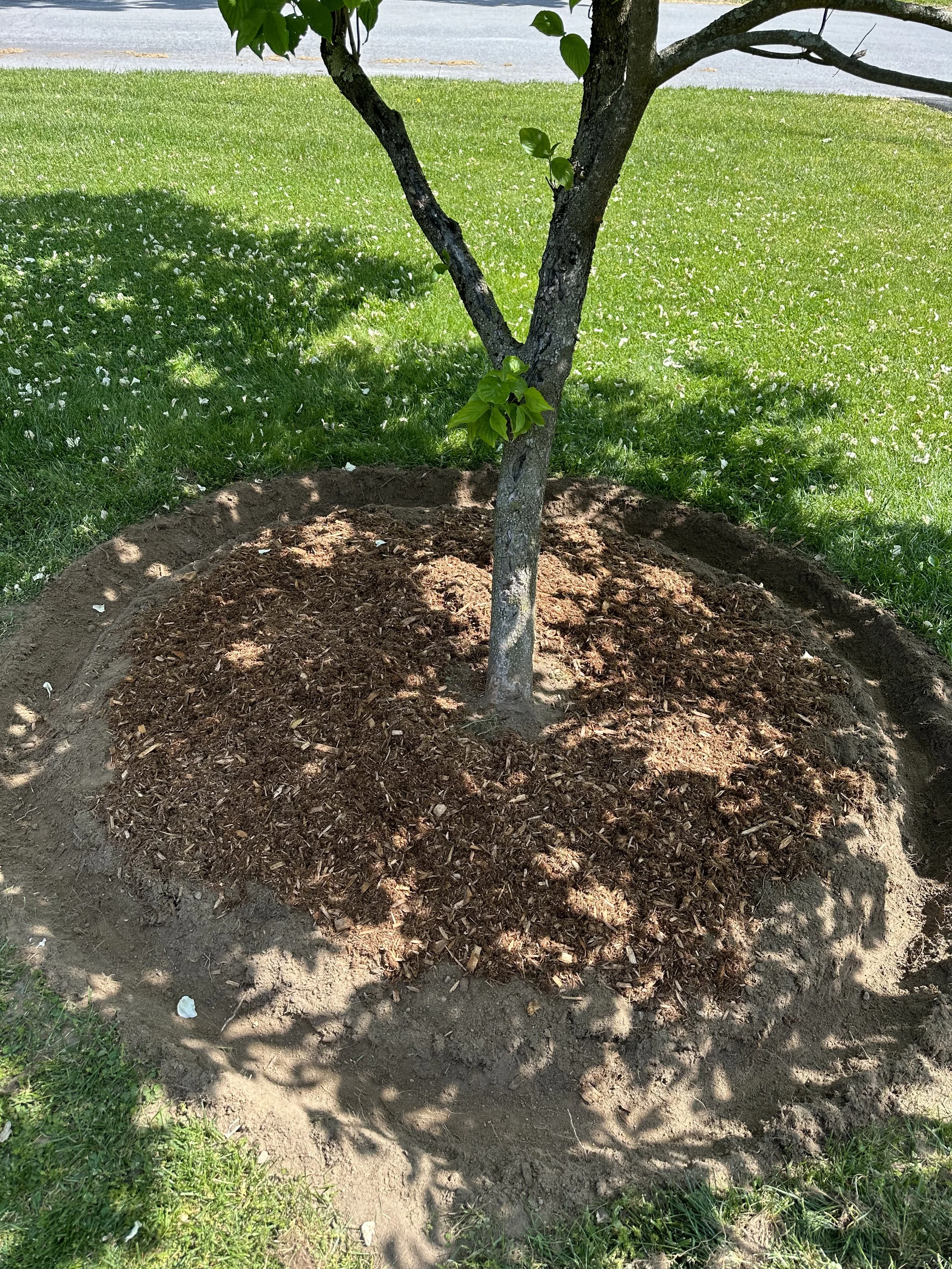 2023-05-16 10.58.19.jpg