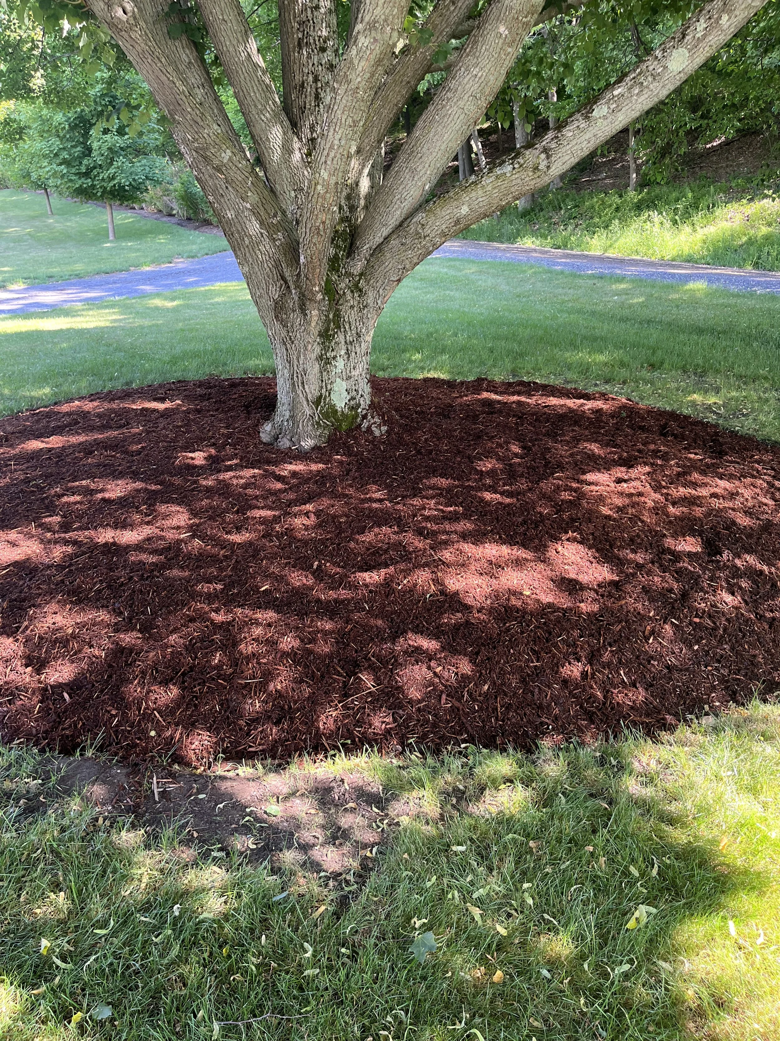 2023-06-19 09.55.02.jpg