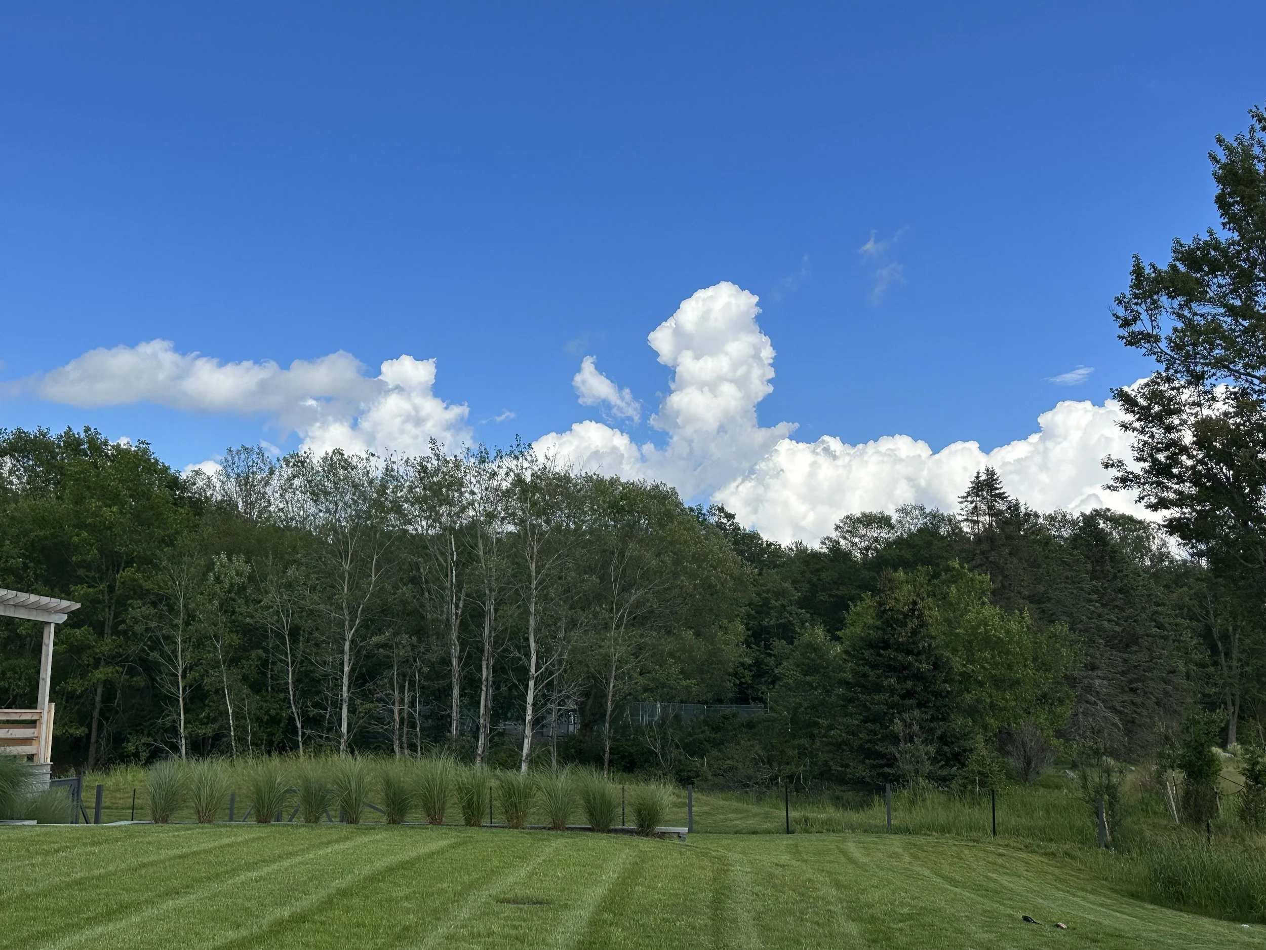 2023-08-16 15.24.11.jpg