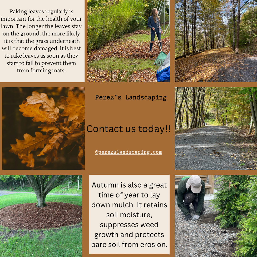 2023-10-17 11.38.52.png