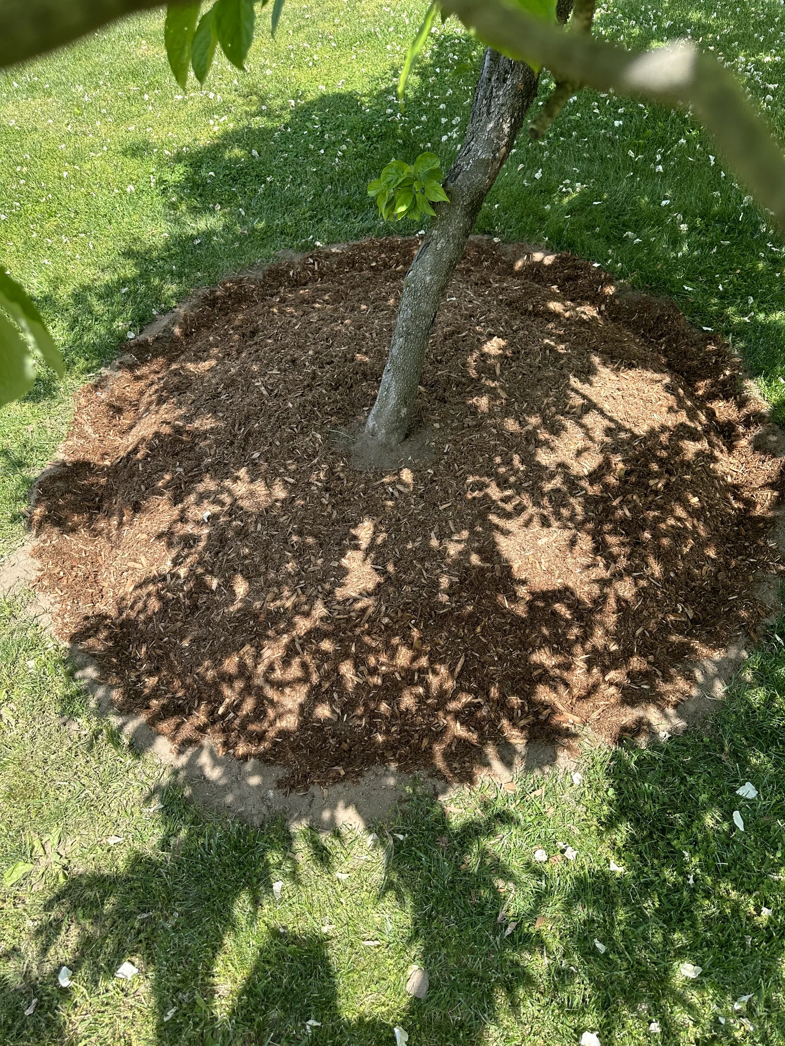 2023-05-16 11.37.08.jpg