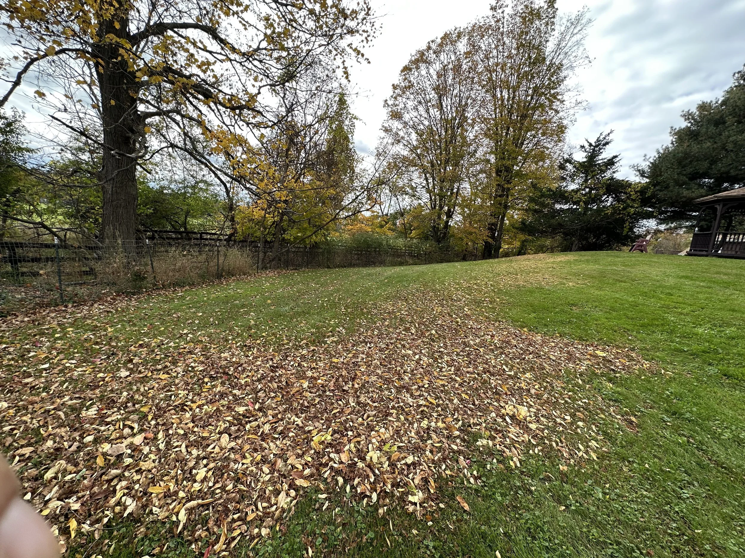 2023-10-17 13.24.47.jpg