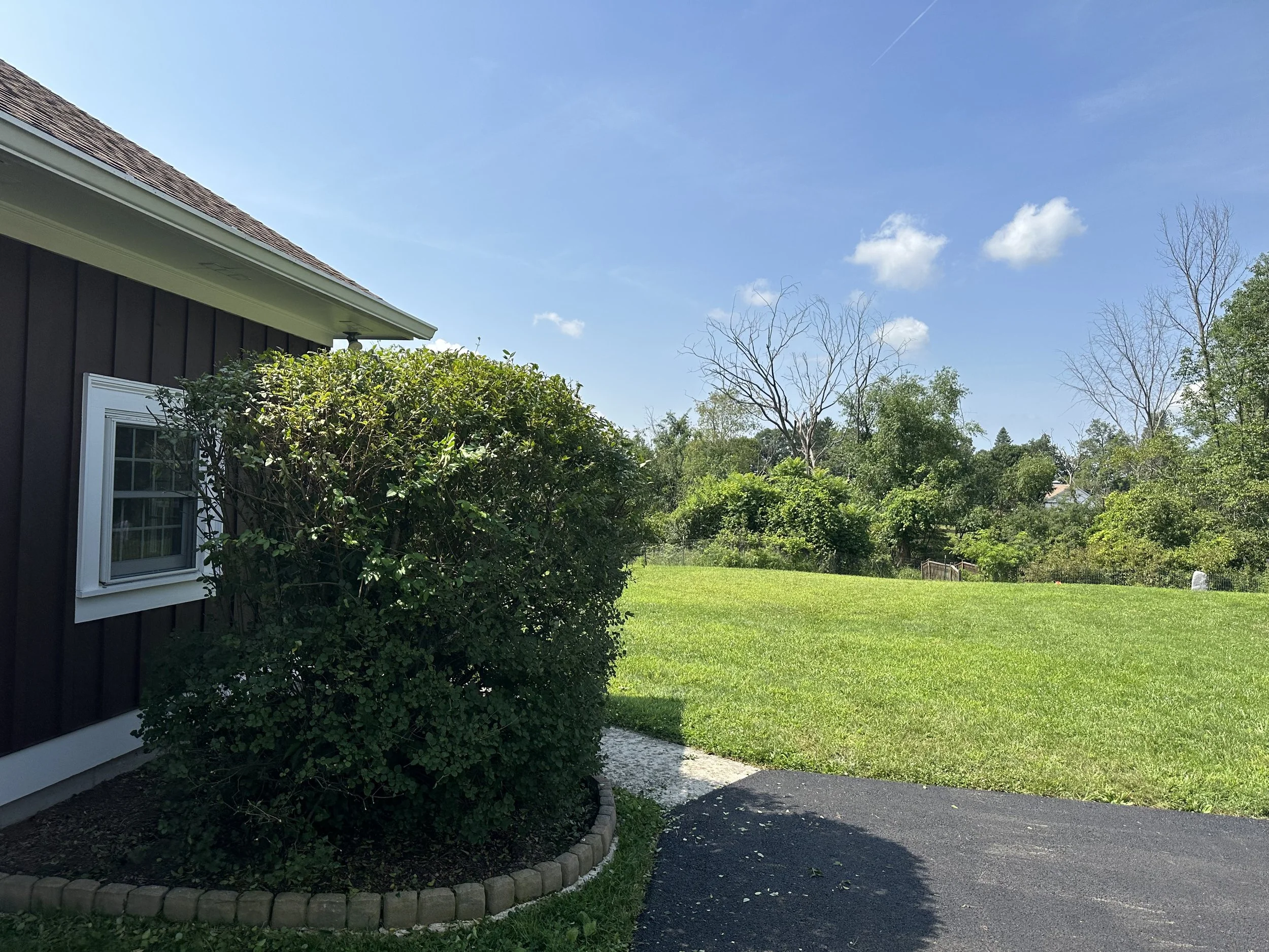 2023-07-25 10.44.13.jpg