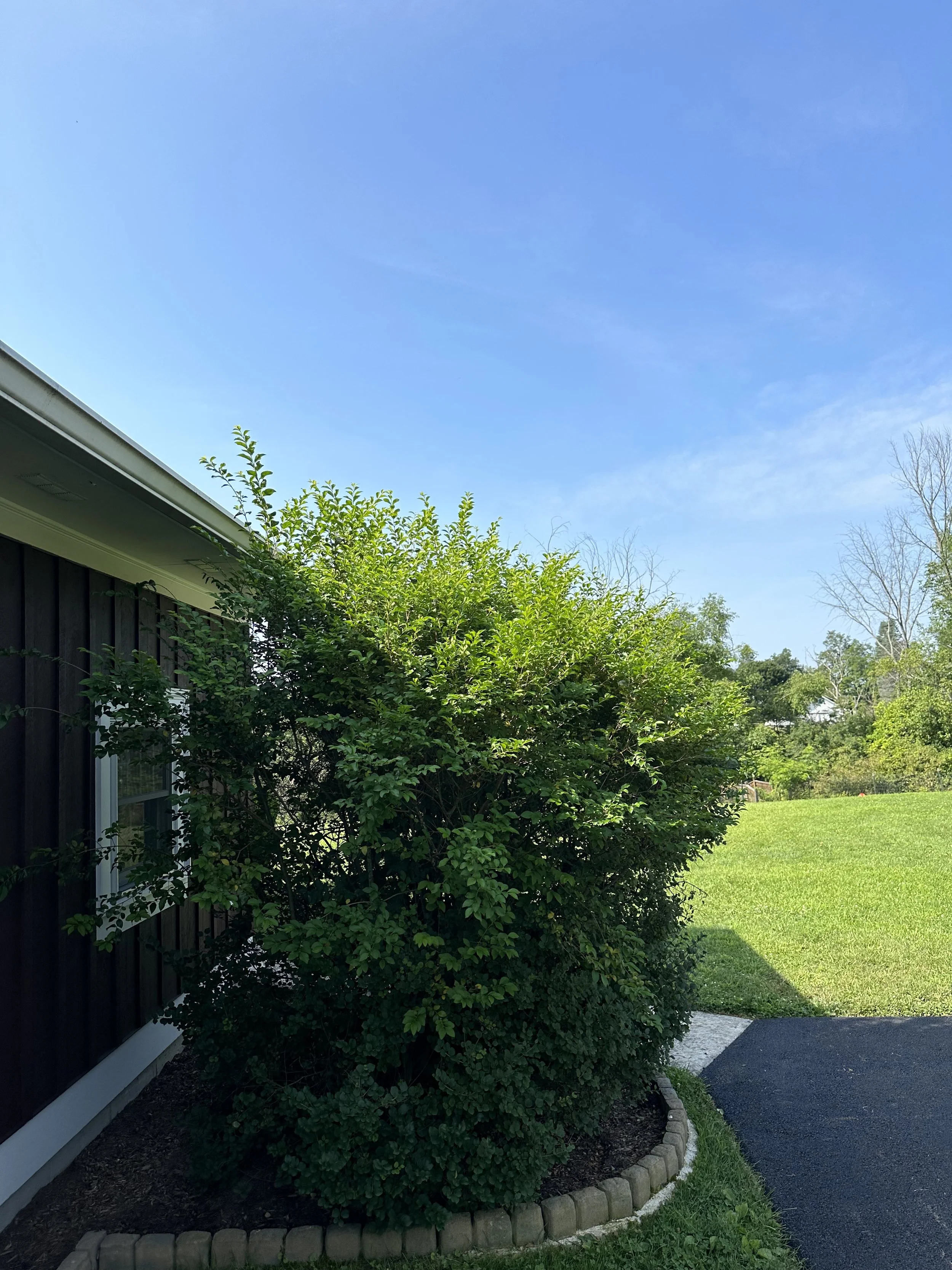 2023-07-25 09.42.26.jpg