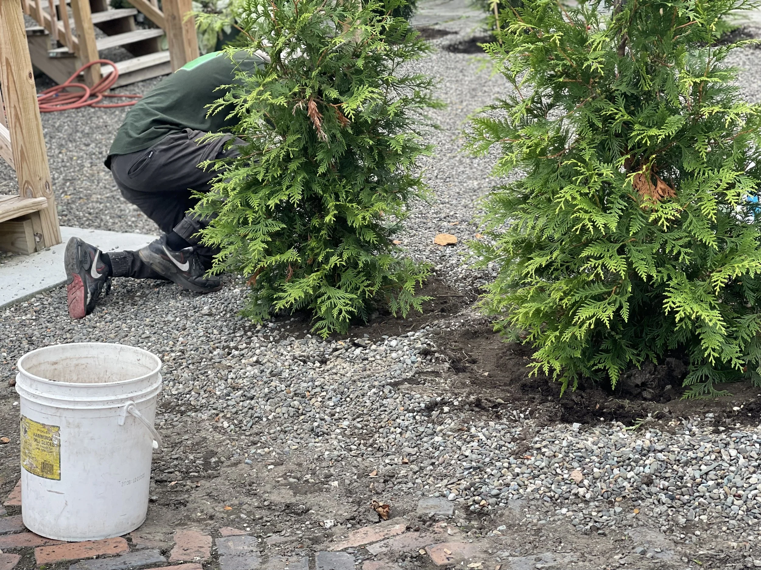 2023-09-28 17.06.32.jpg