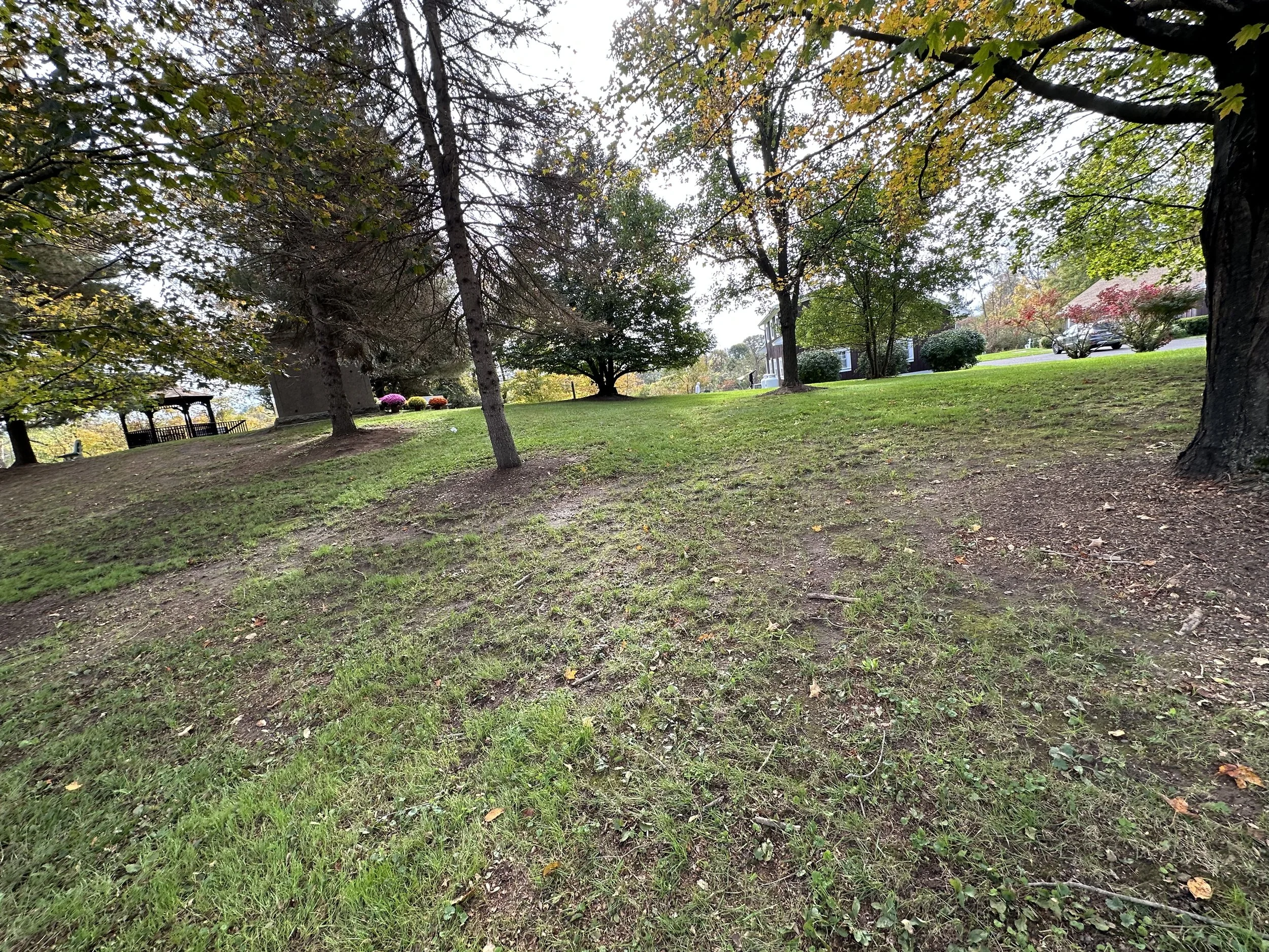 2023-10-17 13.51.07.jpg