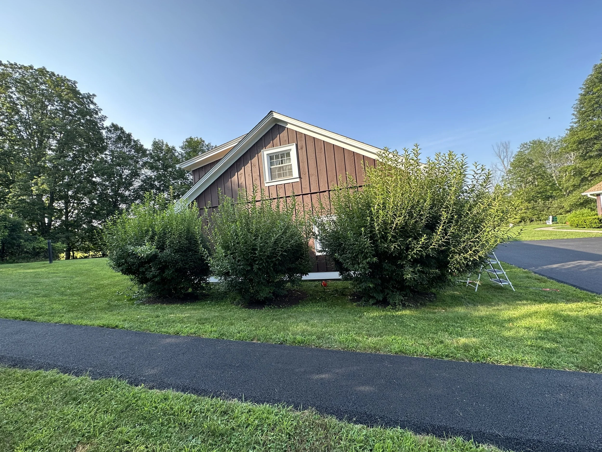 2023-07-25 08.14.42.jpg