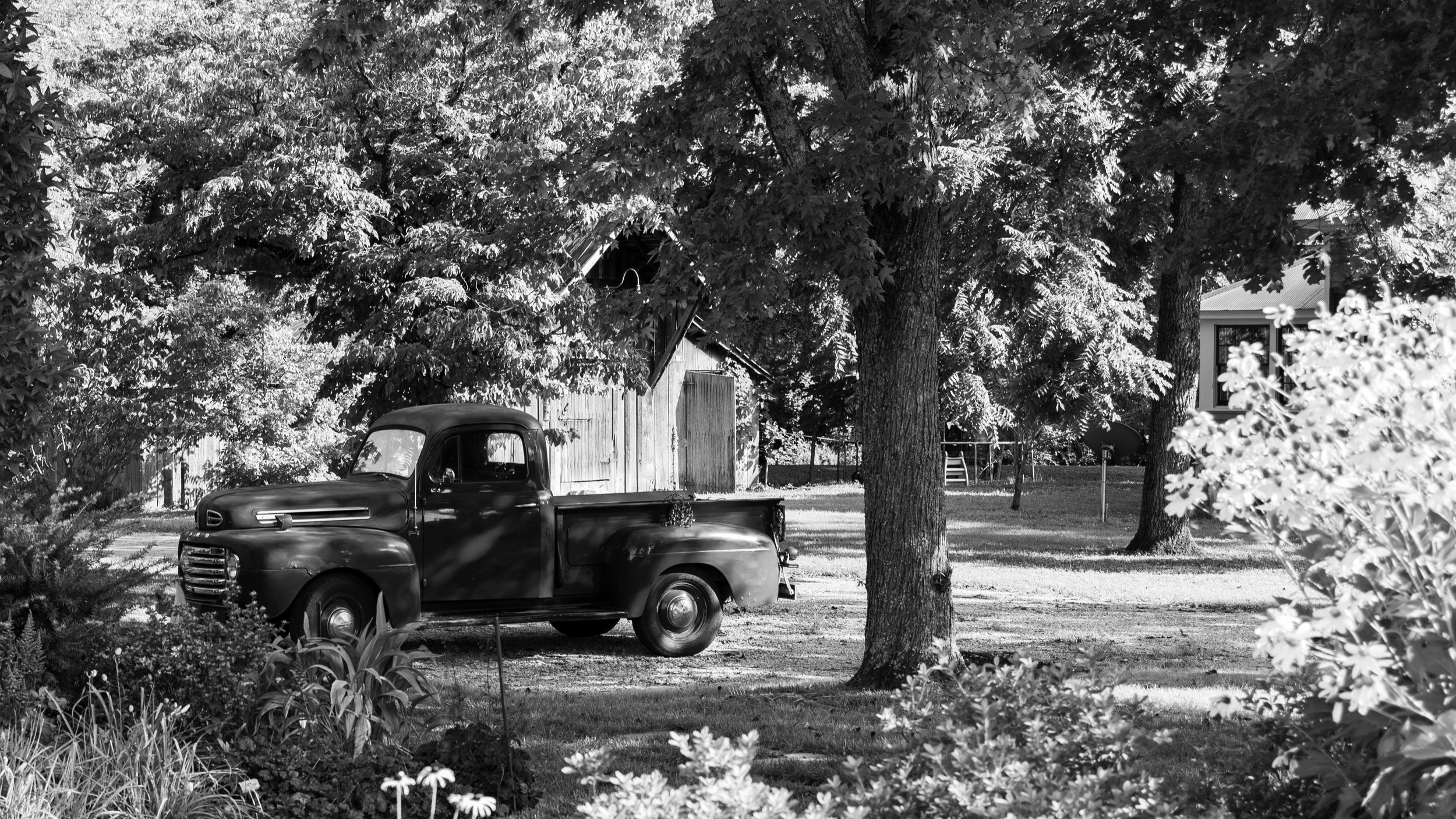 20 Years of Photography Lessons in 60 Seconds