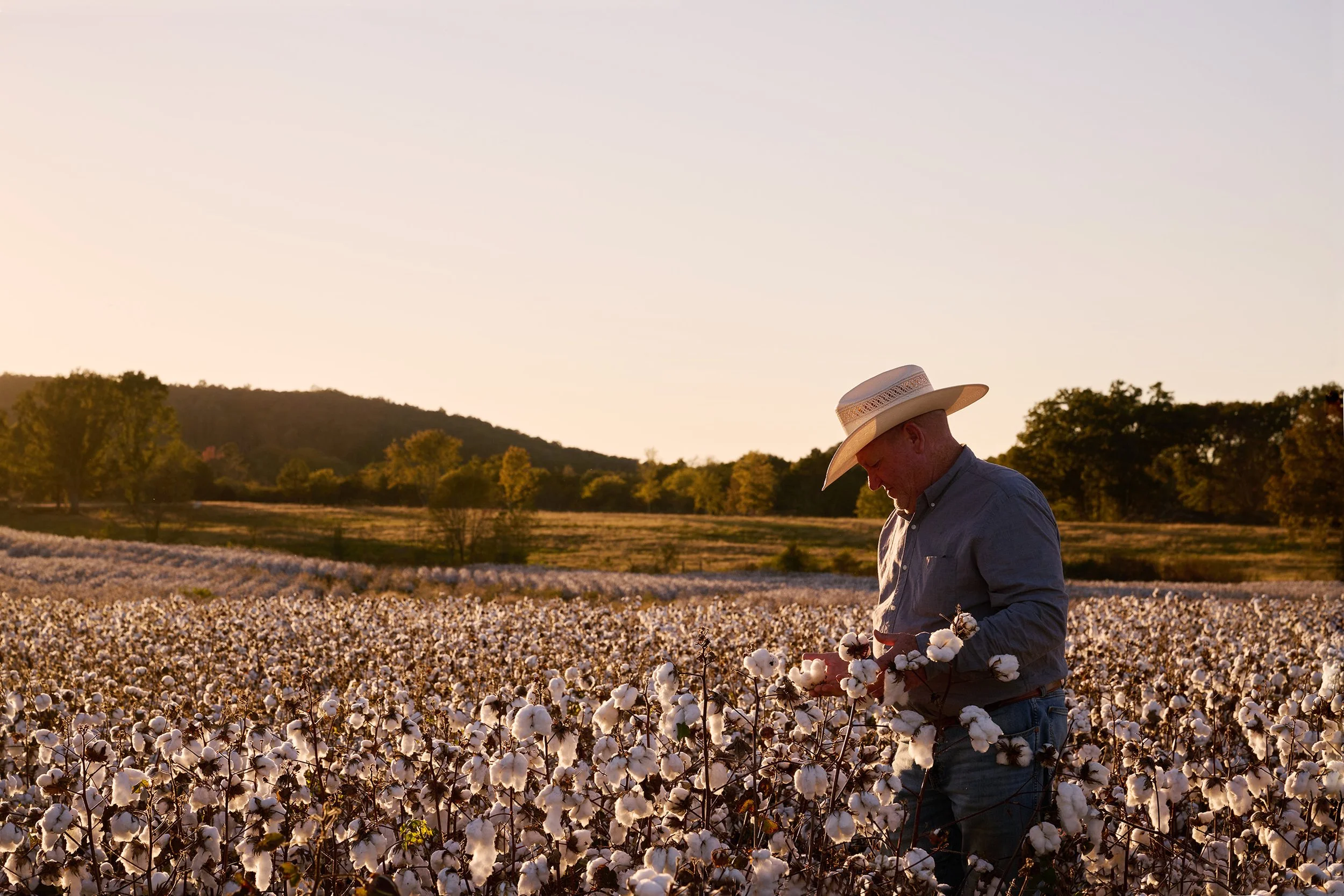 Farmer Flat 5808.jpg