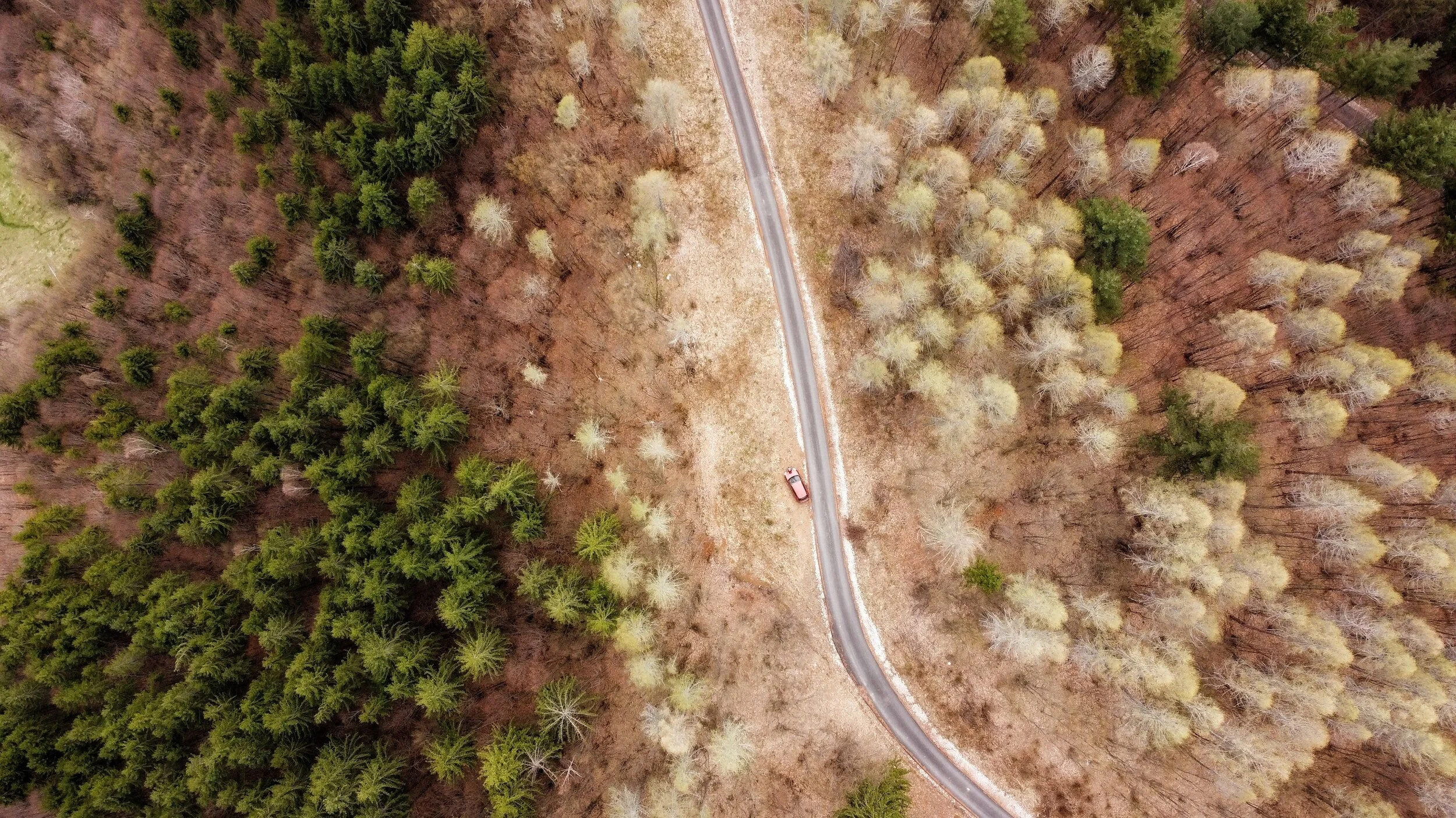 Mastering Tax Loss Harvesting: A Strategic Guide for Smart Investors