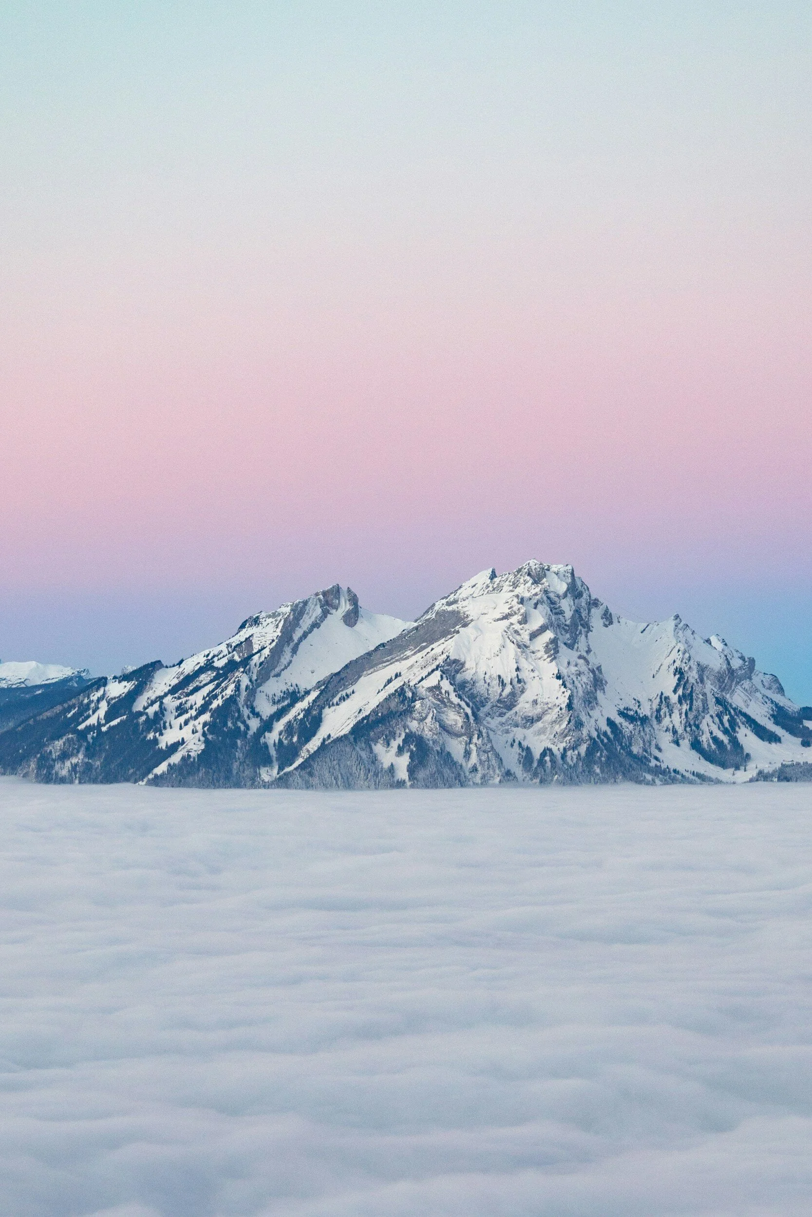Helping to Understand the Stock Market Roller Coaster