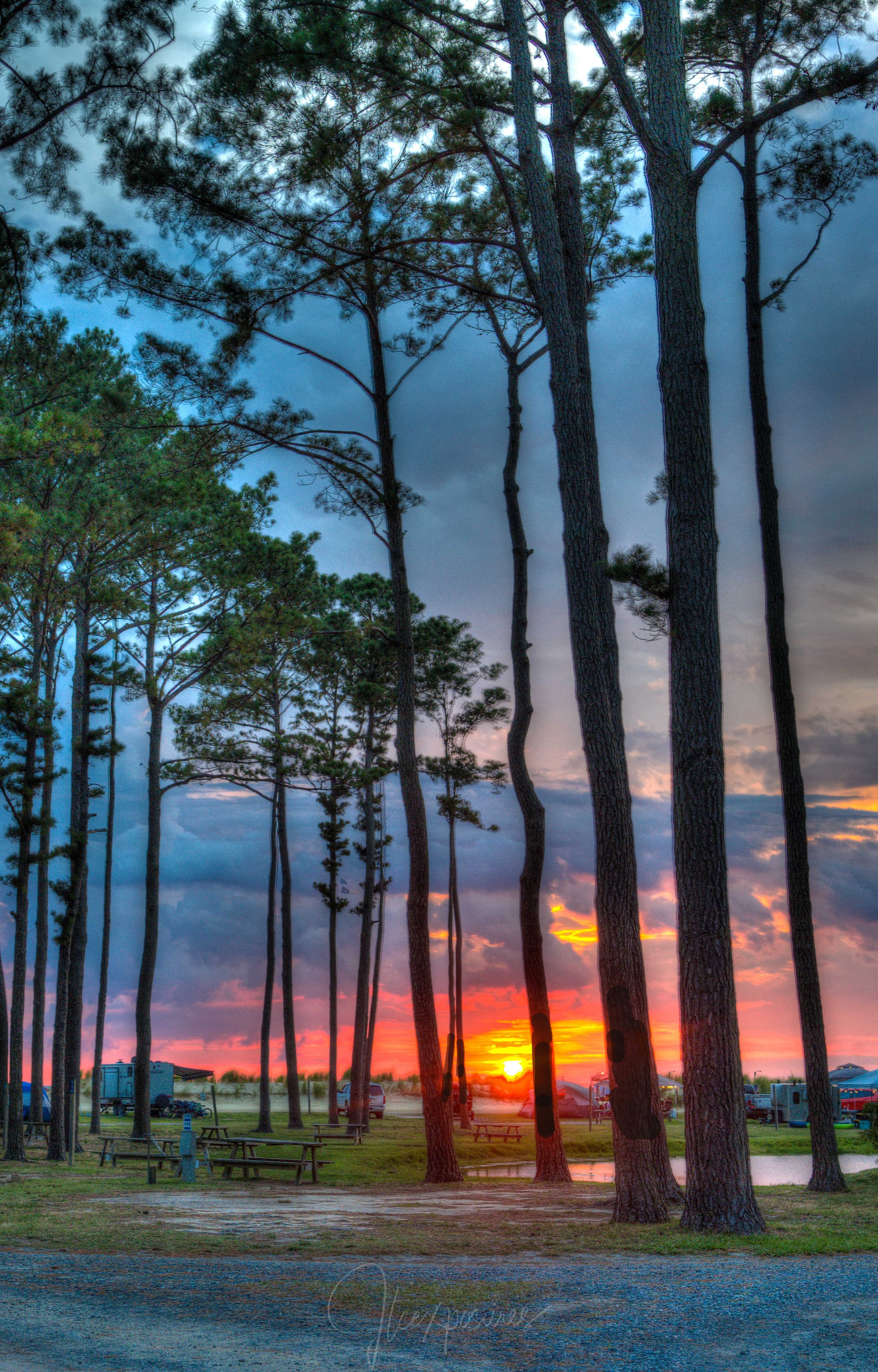 2161 VA Cape Charles Trees and Sunset.jpg