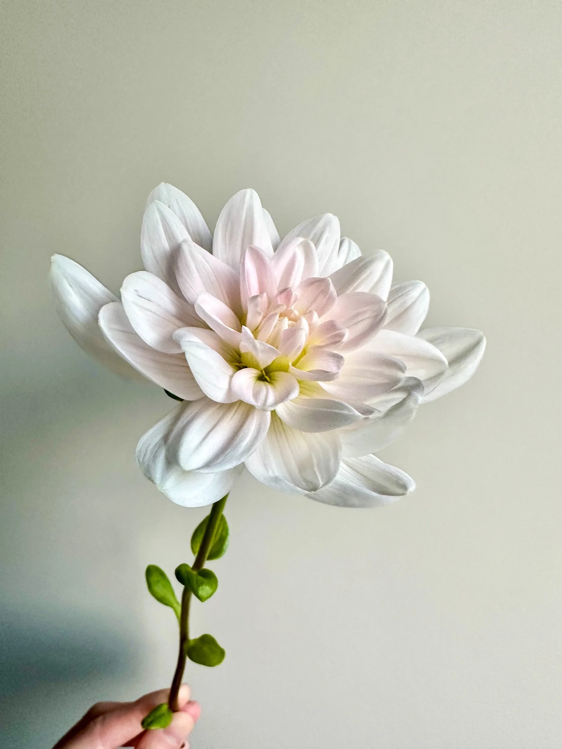 B0FBE31C-47E5-4061-A07E-4875AF38E8EC