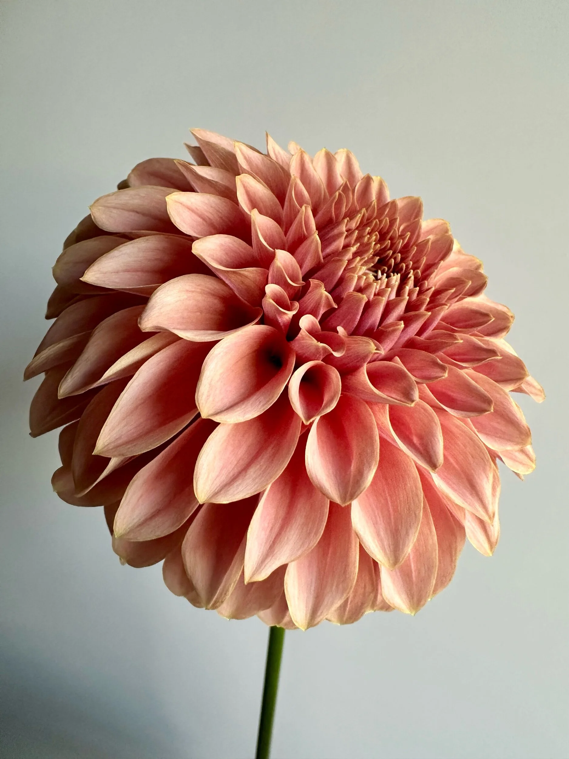 60900AE2-3BAF-43F3-8C94-9A6A15ABC0B3