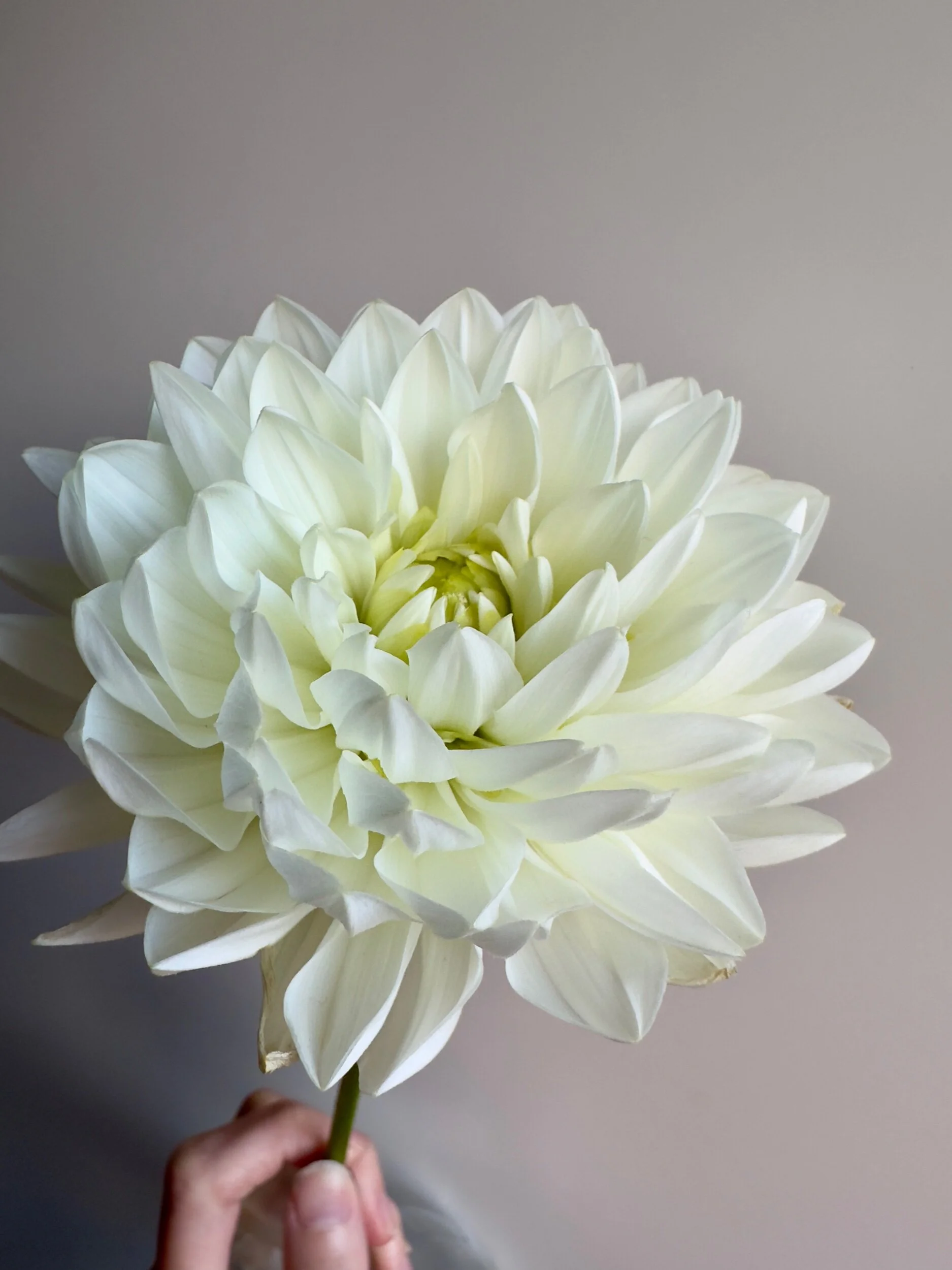 E9312600-B77D-4ABA-B64F-1173FB0DC12E