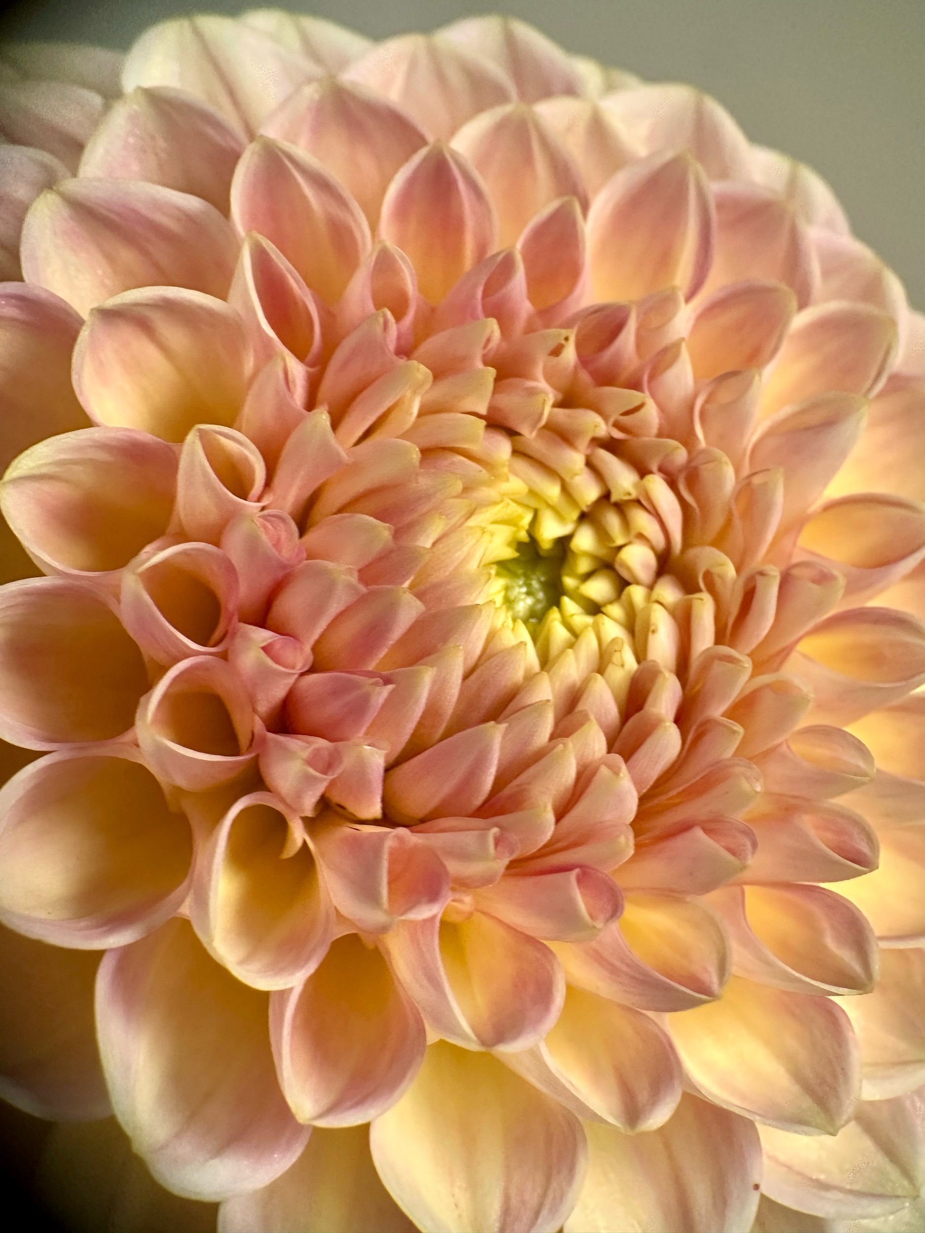 B320F172-FF04-44C6-9172-5D9360C98DD8.jpeg