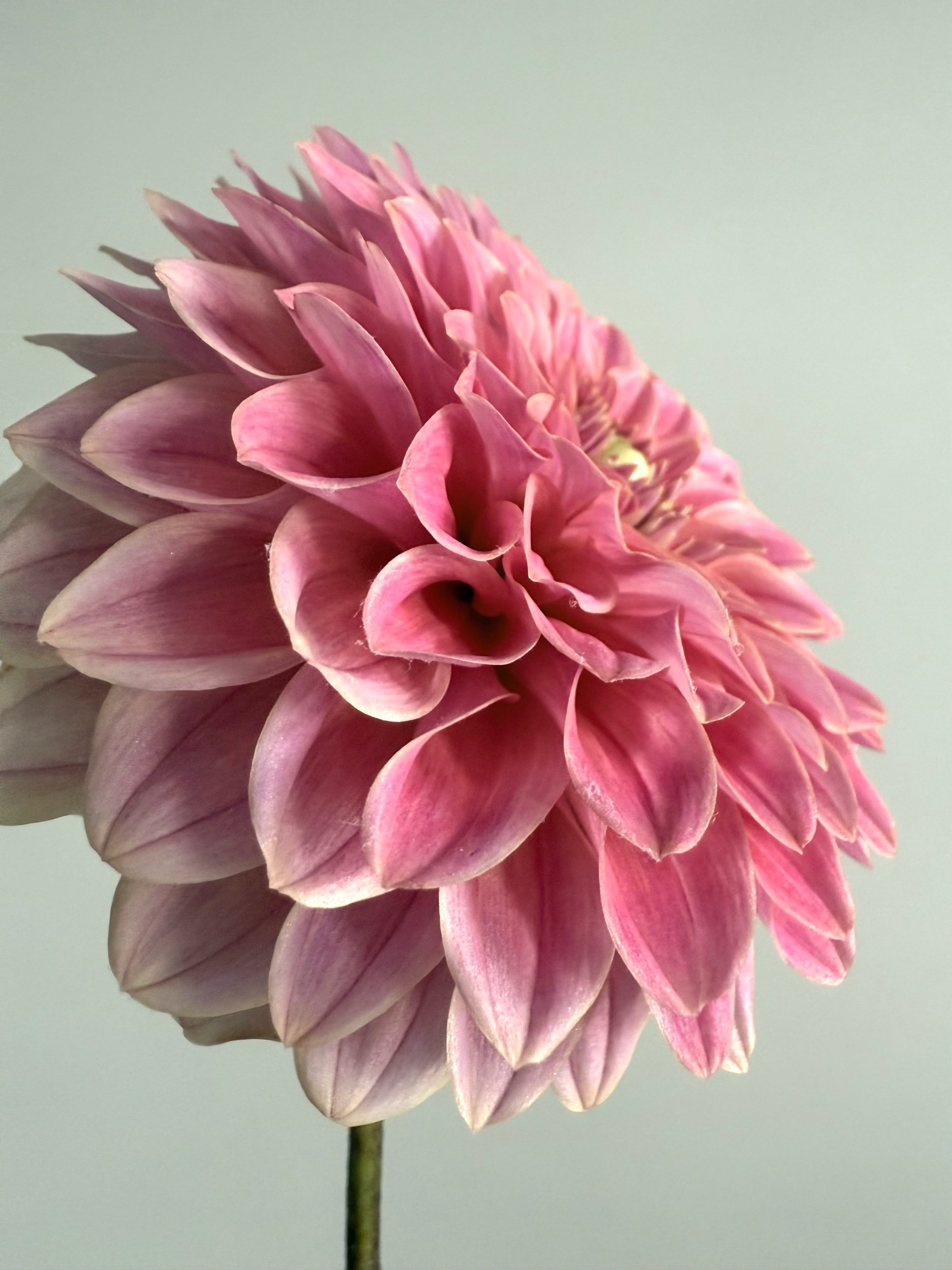 240B08D1-A6E6-47E9-81A6-D464741A2B1C.jpeg