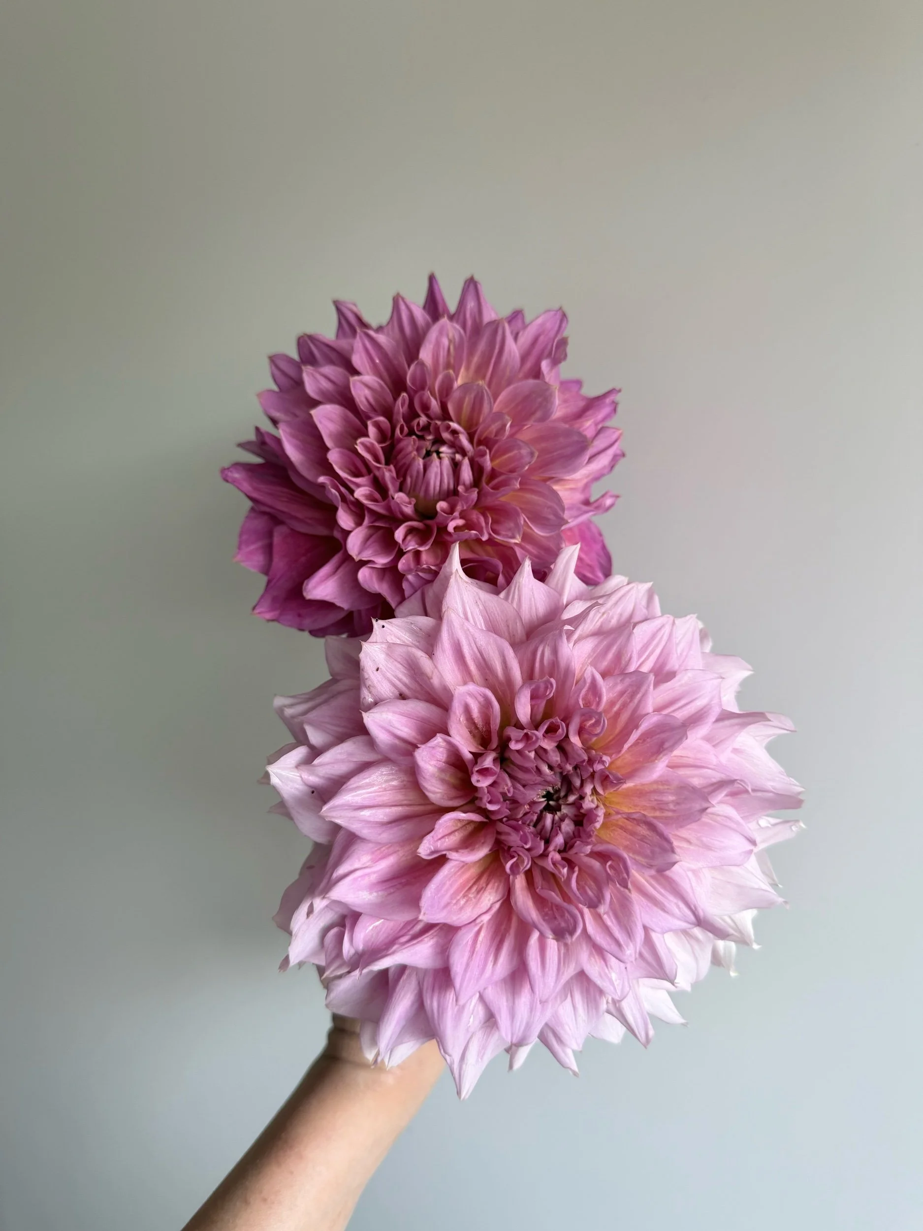 8F980530-0CB3-4693-B303-3782545125B7.jpeg