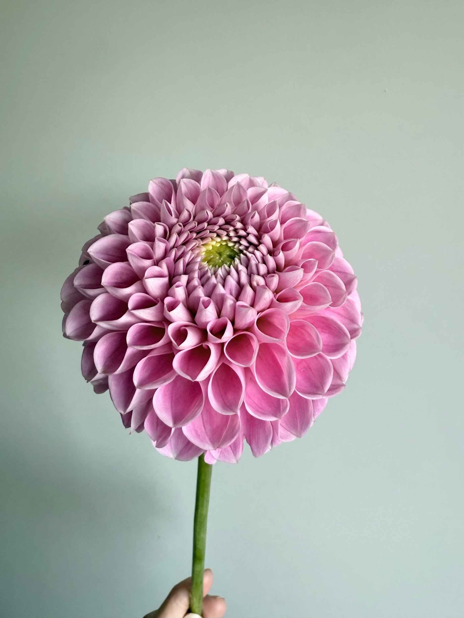 D307E85E-7607-4F52-8110-6AE46C14BD27.jpeg