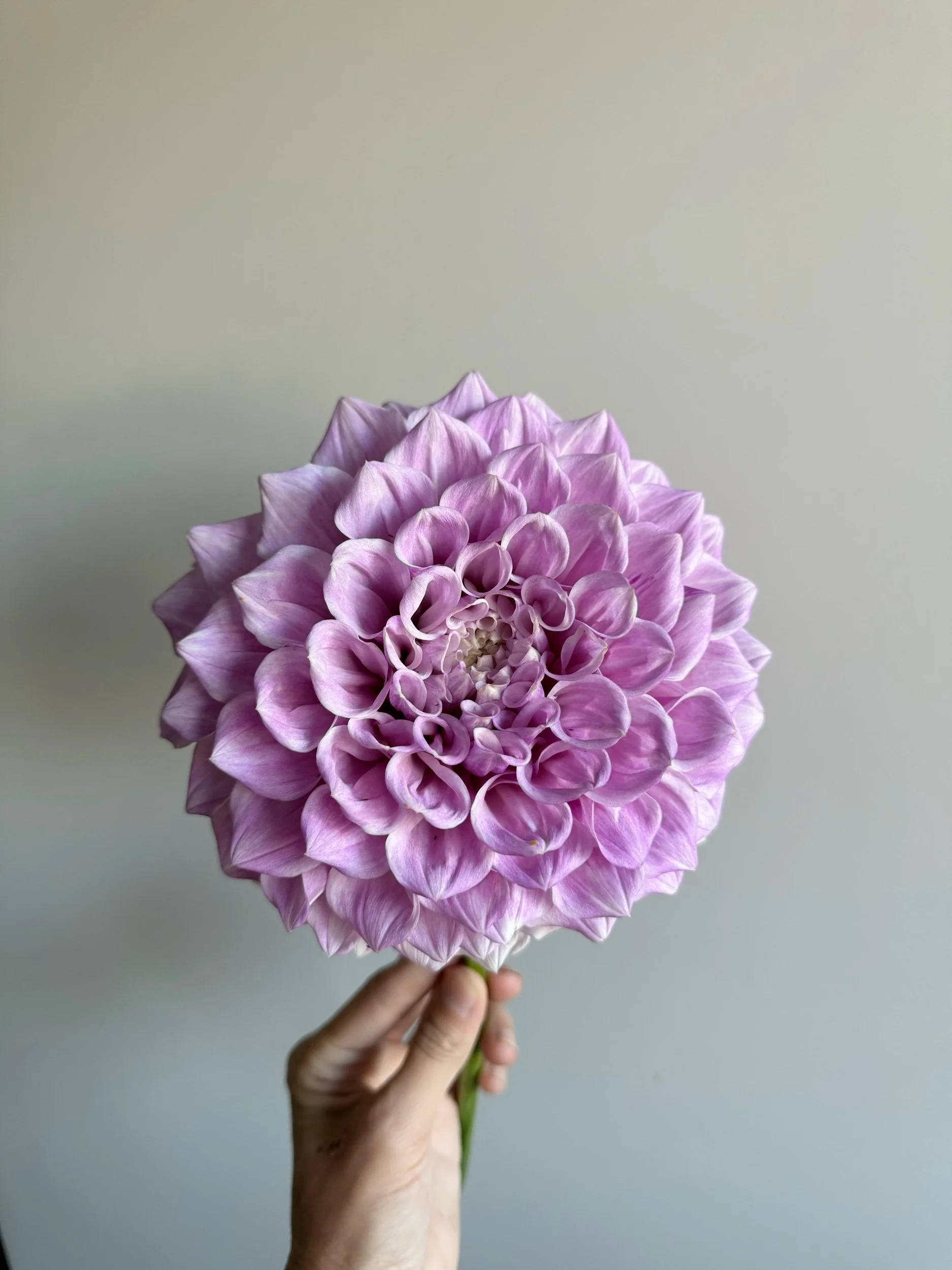 12F737C4-A1E5-42F3-9ADB-409FA684A87B.jpeg