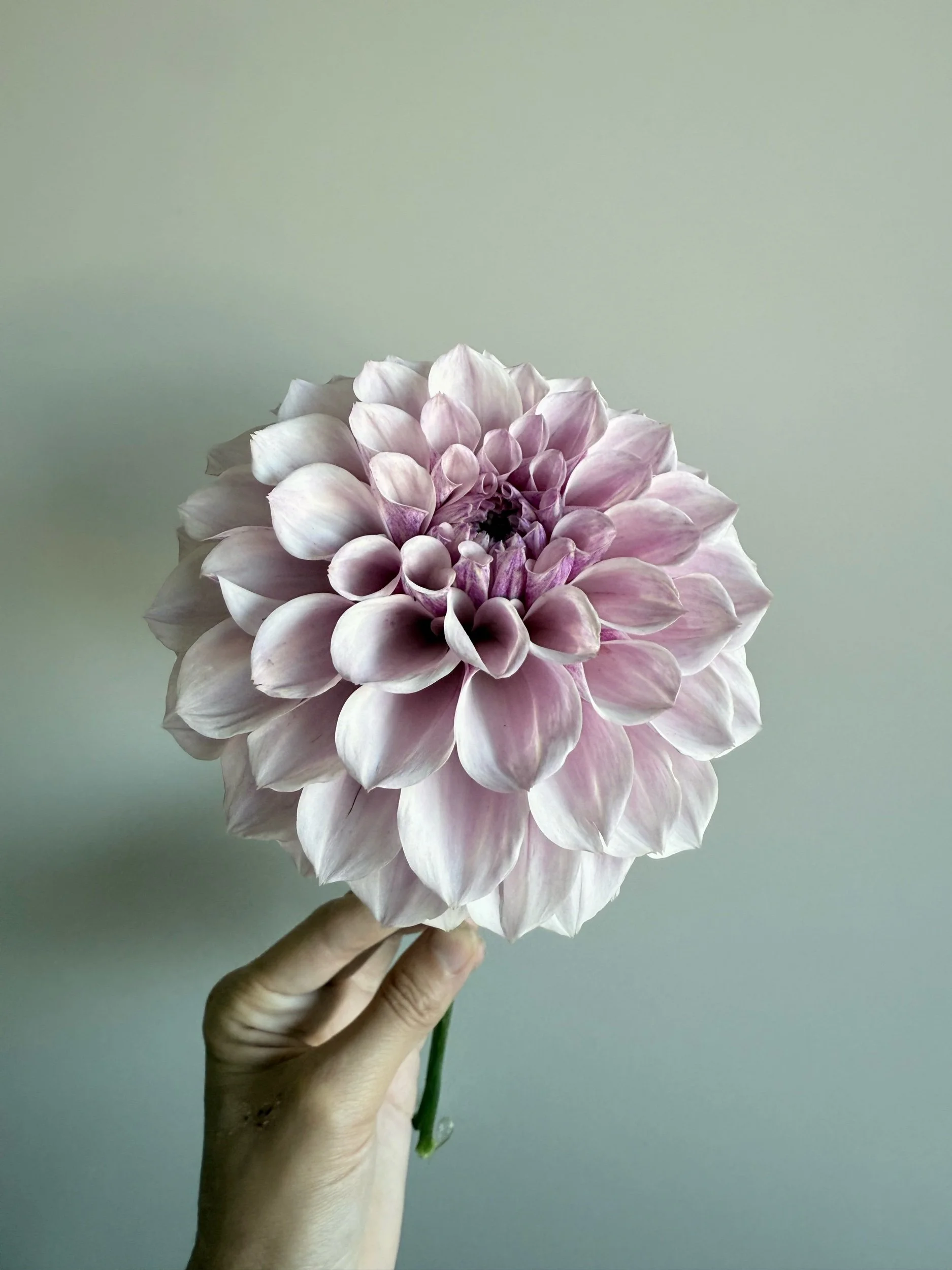 0D9D0153-0A6B-4085-97EE-16A95058FD92.jpeg